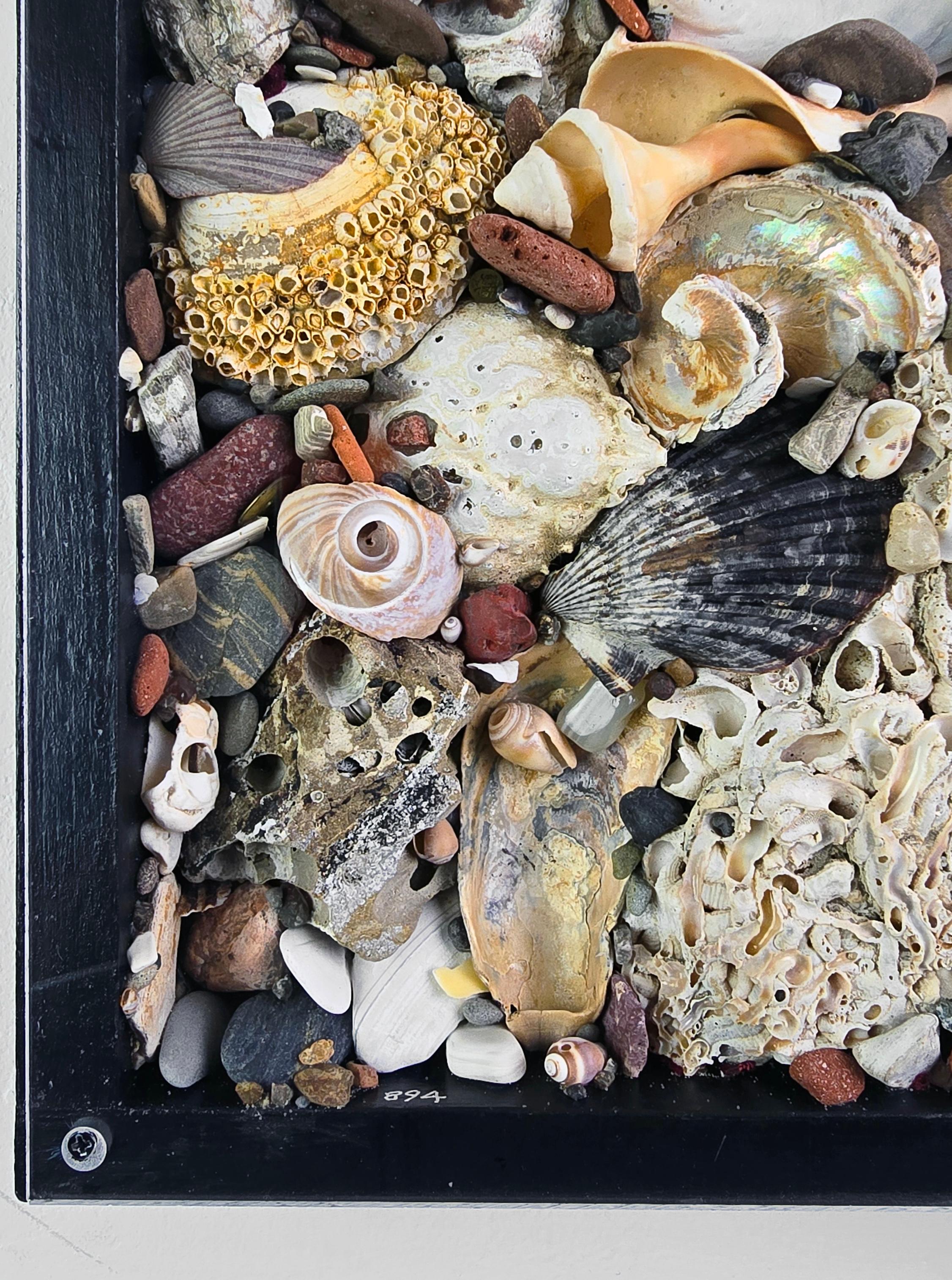 Spoon to Shell 894: Shells Only - Mixed Media Contemporary Assemblage Sculpture For Sale 4