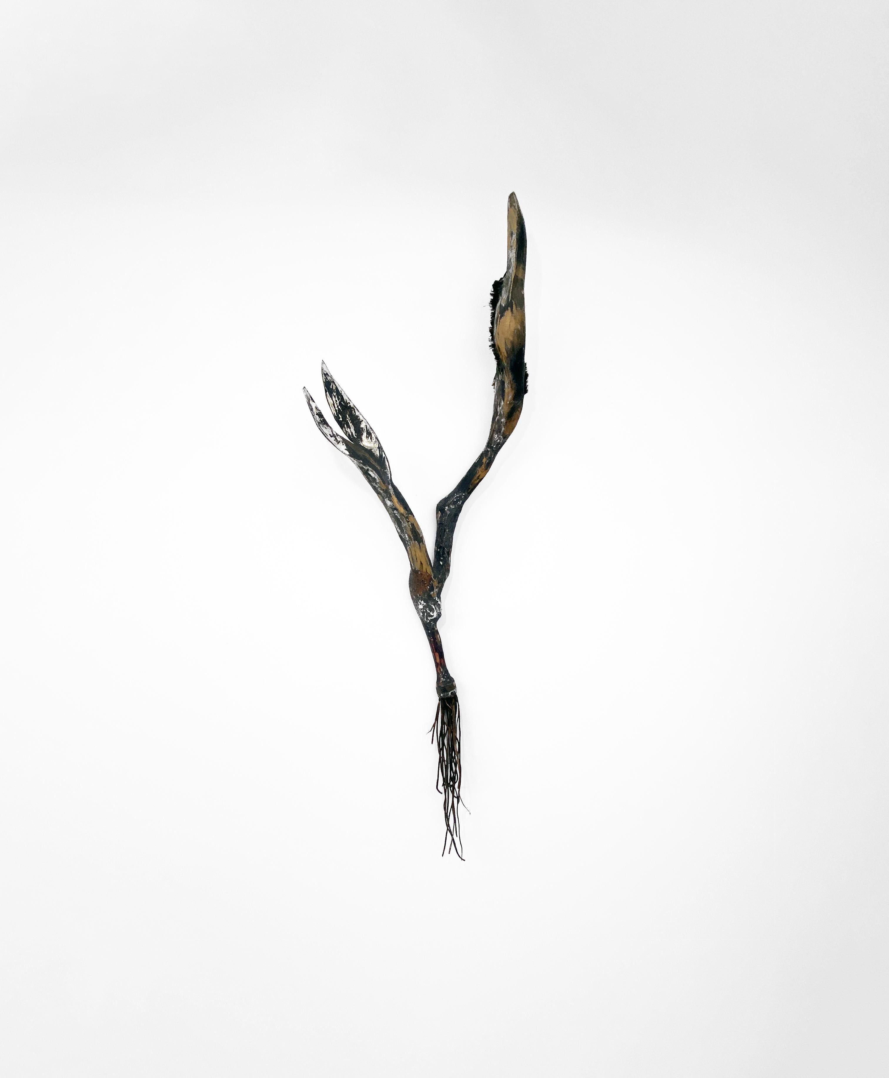 Escultura contemporánea de madera, metal y técnica mixta - Explorador 184 - Sculpture de Linda Stein