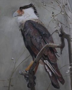 Crested Caracara