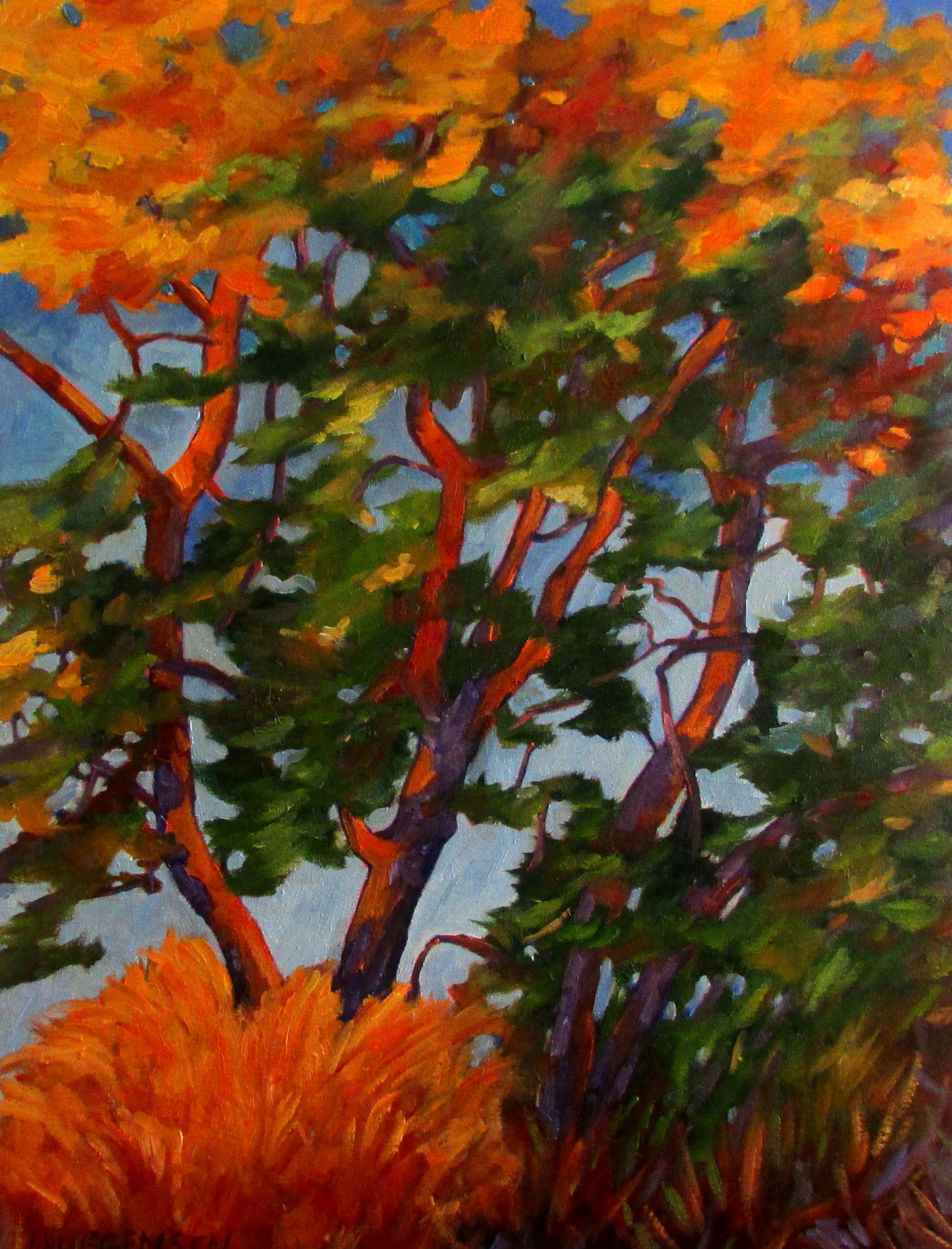 Linda Yurgensen Landscape Painting - Autumn Arbutus, Painting, Oil on Canvas