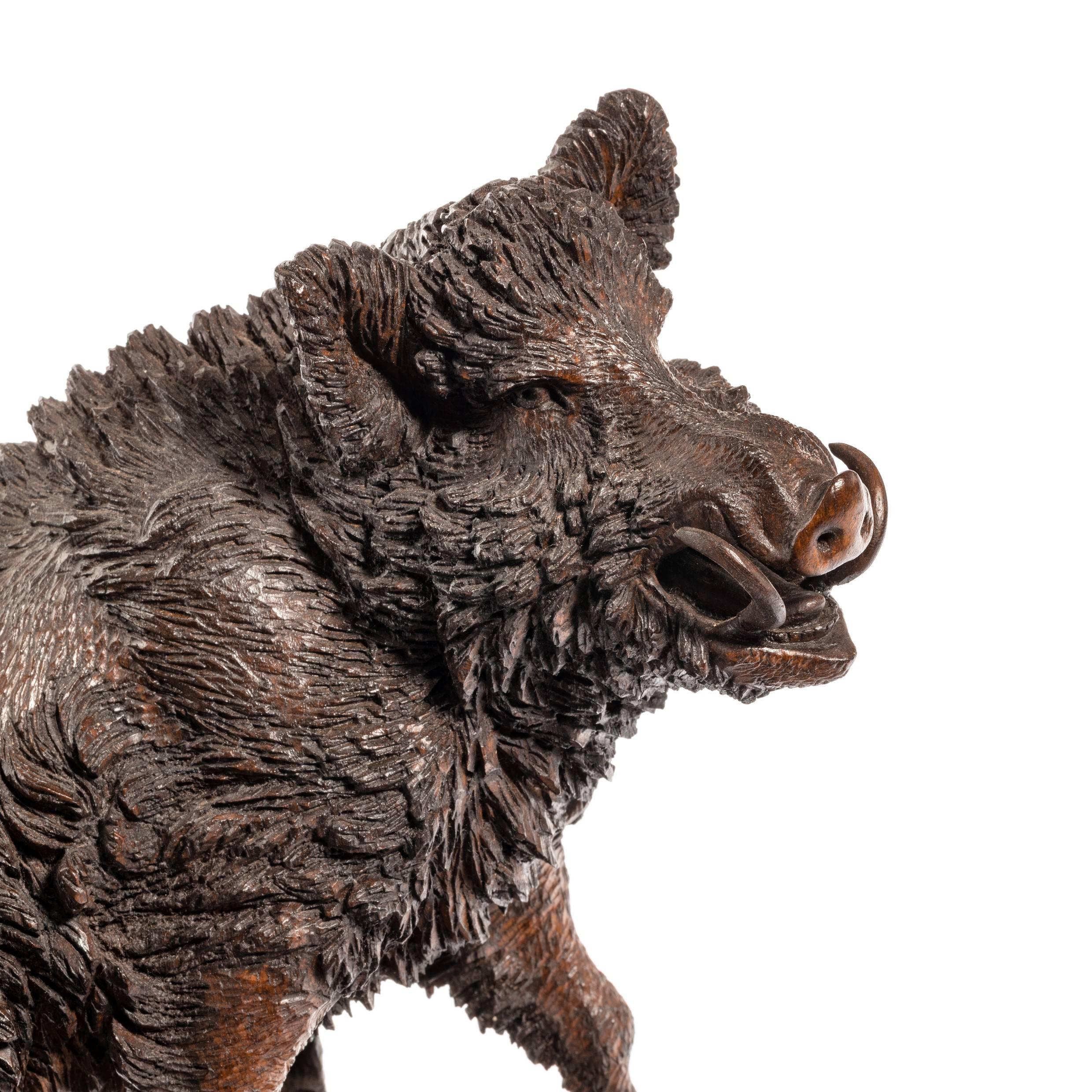 A superb linden wood ‘Black Forest’ model of a wild boar, intricately and realistically carved with snarling mouth and rippling fur, his head turned slightly to the right, Swiss, circa 1890.