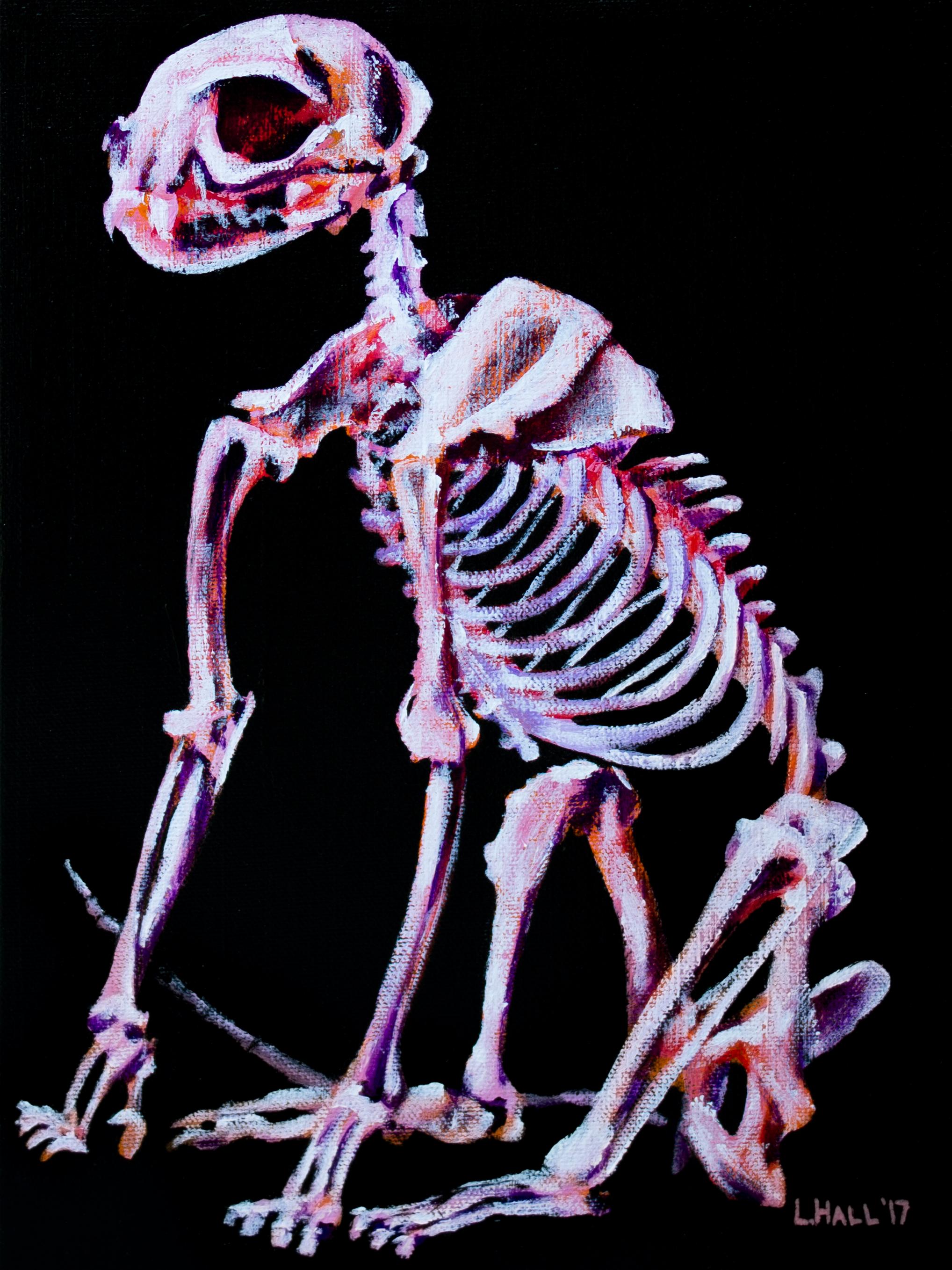 Lindsay Hall - Cat Skeleton, Original Signed Black and Pink Contemporary  Painting on Canvas For Sale at 1stDibs