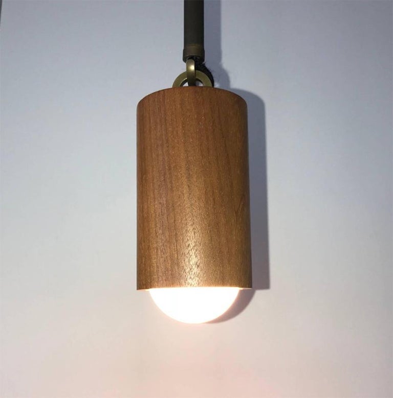 Minimalist Lindsey Adelman  one of a kind  Woodchuck Pendant Chandelier For Sale