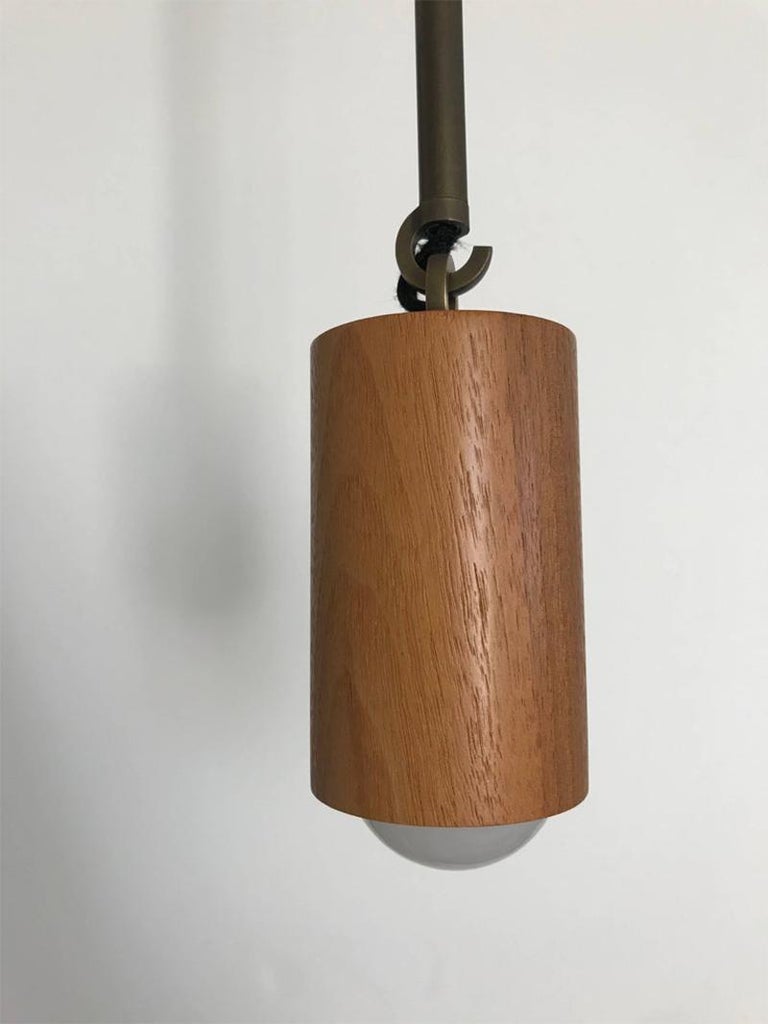 American Lindsey Adelman  one of a kind  Woodchuck Pendant Chandelier For Sale
