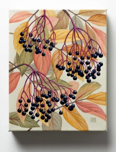 "Elderberries", Botanical Study of Elderberries with Autumn Leaves