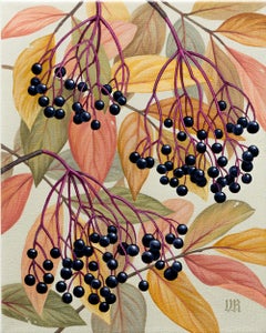 "Elderberries", Botanical Study of Elderberries with Autumn Leaves