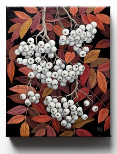 "Rowan Berries", Botanical Fruit Still-Life Study on a Dark Ground