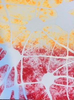 Liquidlines & Infosohere #2