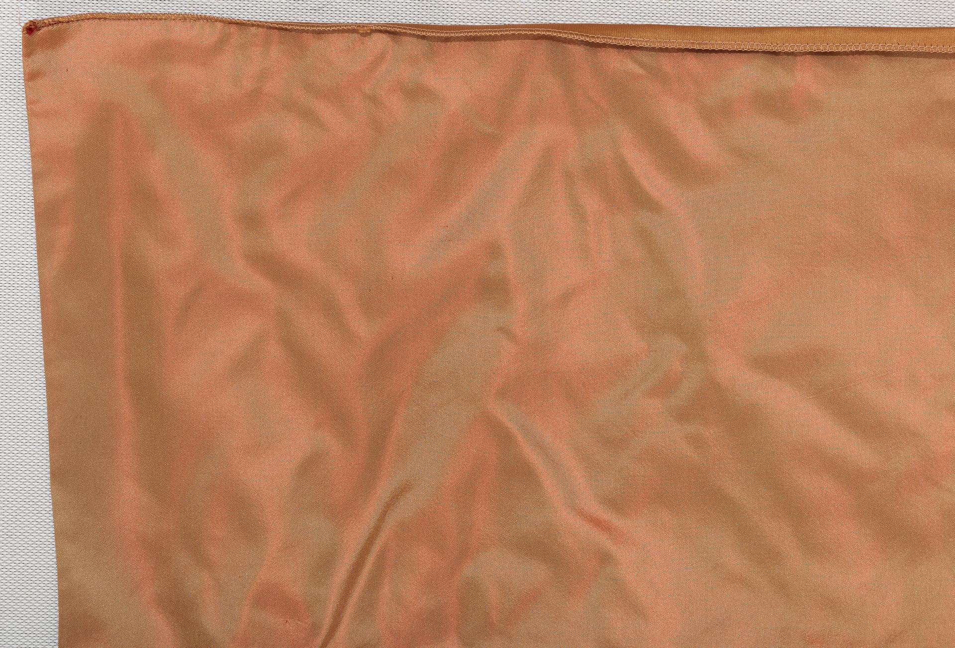 Gefütterter Seidenvorhang im Angebot 1
