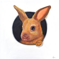 Hare In Hole 6. Rabbit looking Through a Hole. Adorable Rabbit Oil painting