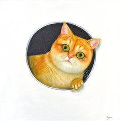Peeking Cats 4. Cat looking Through a Hole. Adorable Orange Cat Oil Painting