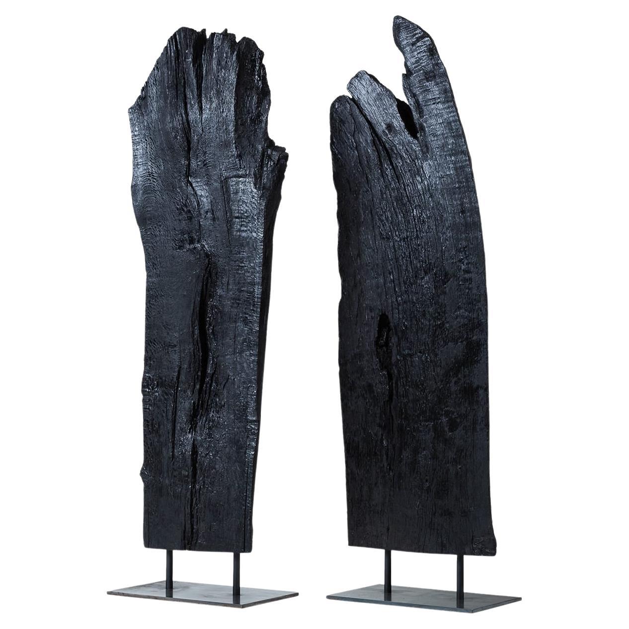 Ensemble de 2 sculptures noires Linguat II