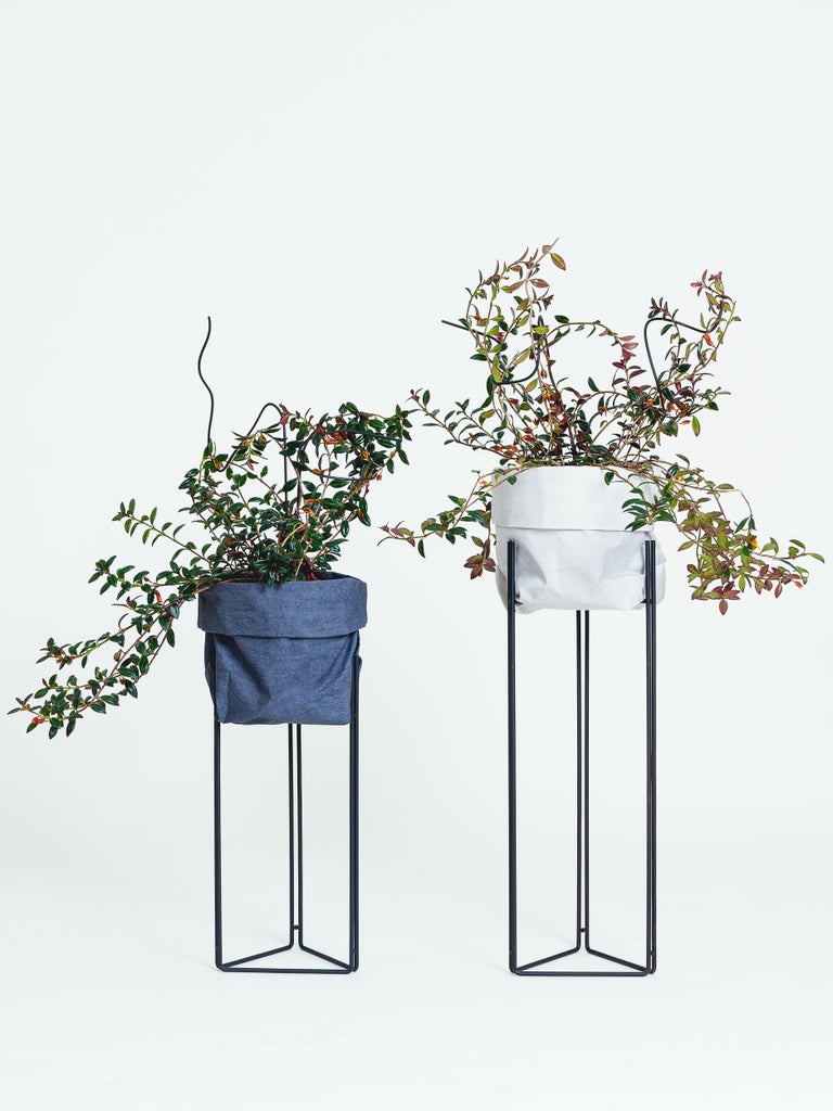 Linha Planter Pedestal and Cachepot 'Plant Stand' by Filipe Ramos For ...