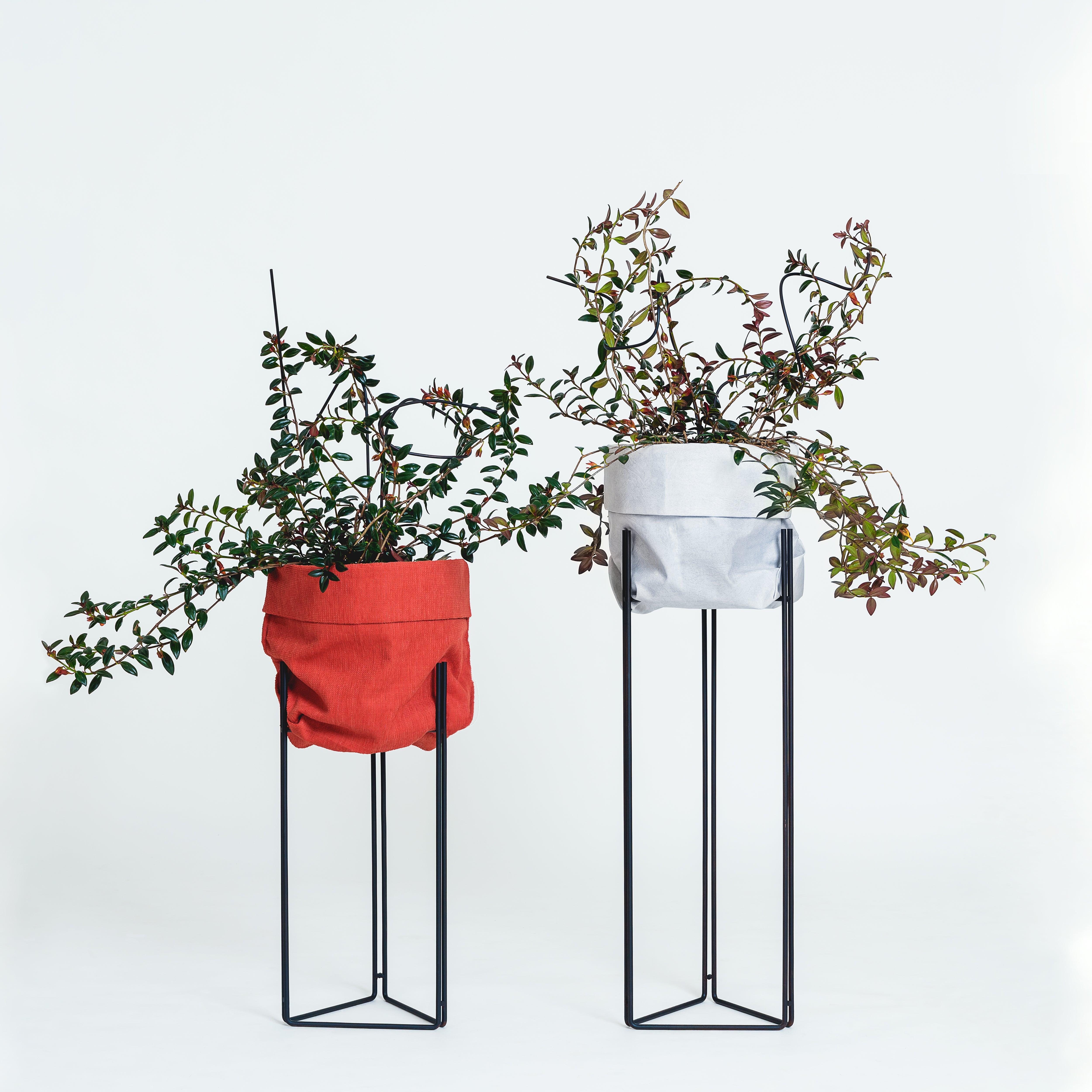 Oiled Linha Planter Pedestal and Cachepot 'Plant Stand' by Filipe Ramos