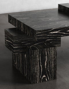 LINK COFFEE TABLE - Modern Design with Macassar black/white groove