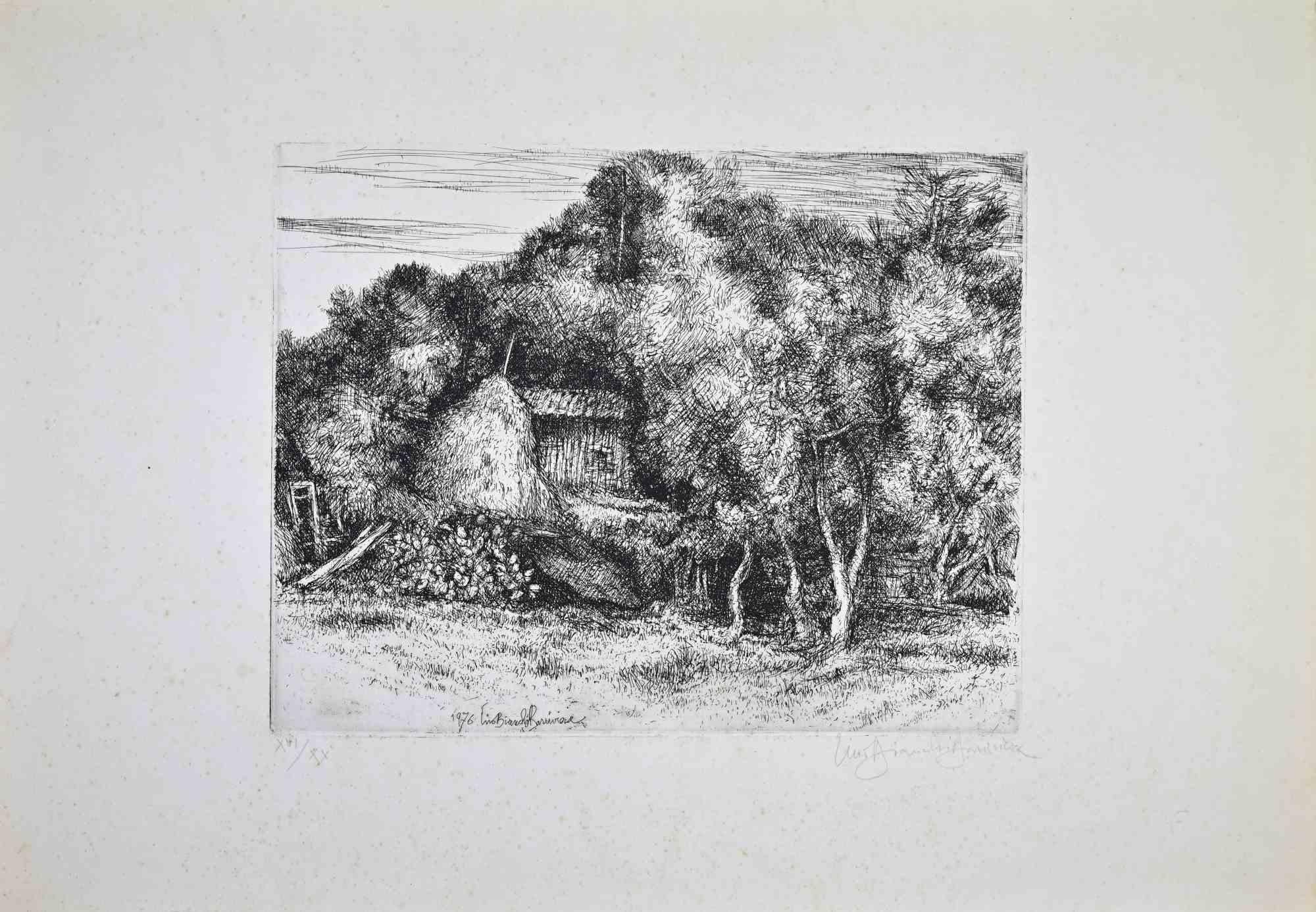 Etching realized by Lino Bianchi Barrivera in 1974.

Hand signed in pencil and signed and dated in the plate.

Edition of 20 in roman numbers.

Diffused foxing, otherwise good condition.