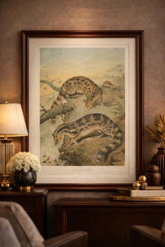 Linsangs, Rare Antique Asian Mammal Print, Victorian Zoology, 1894