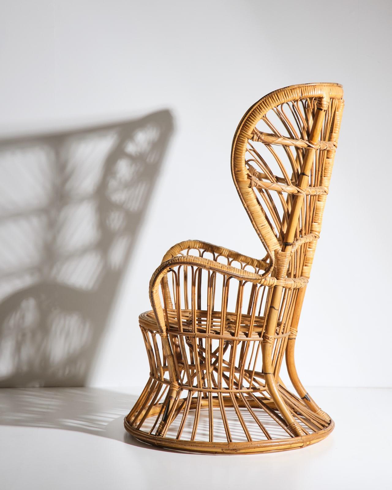 Mid-Century Modern Lio Carminati, Peacock armchair For Sale