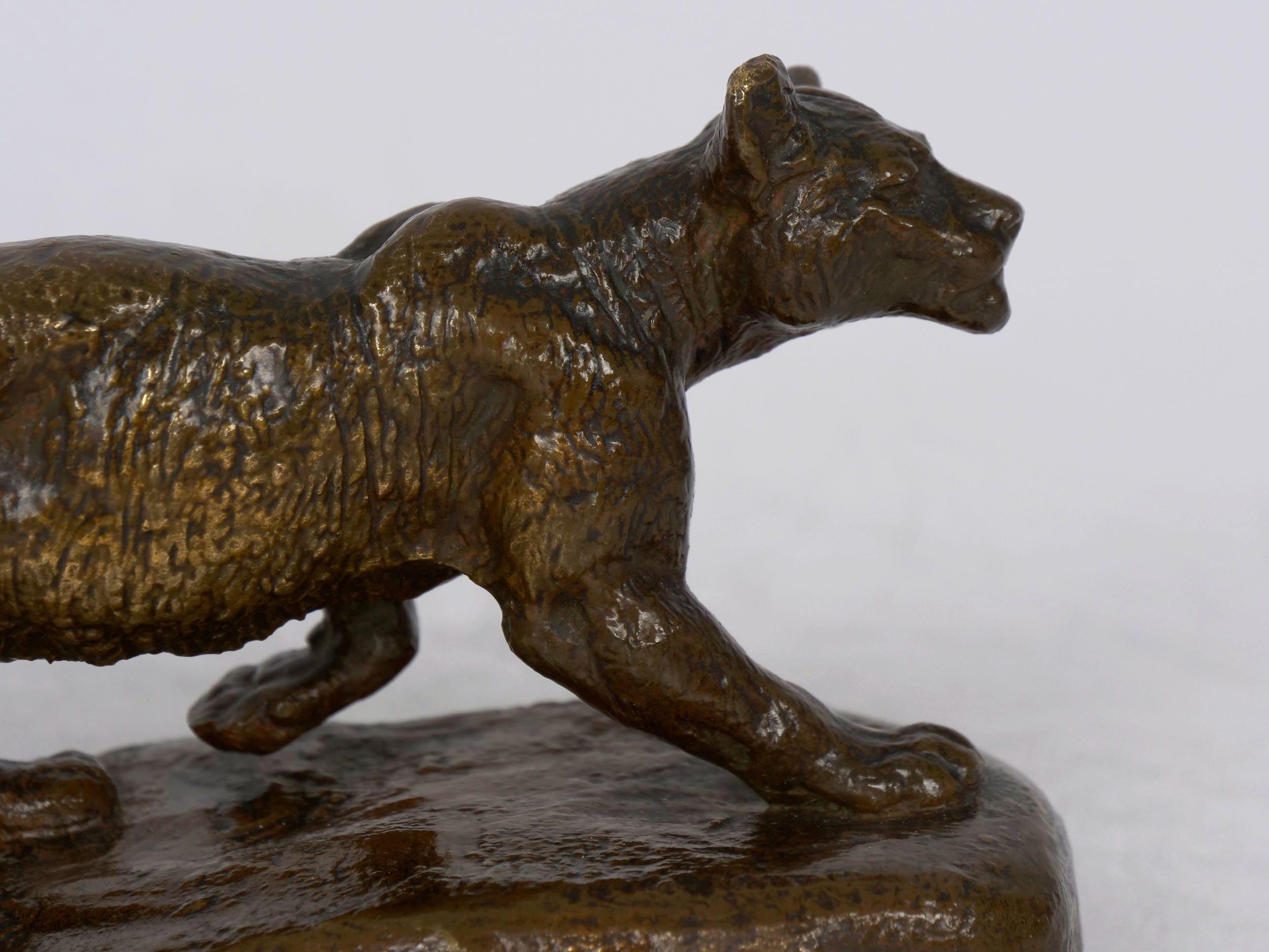 “Lion Cub” French Antique Bronze Sculpture by Isidore Bonheur and Peyrol 9