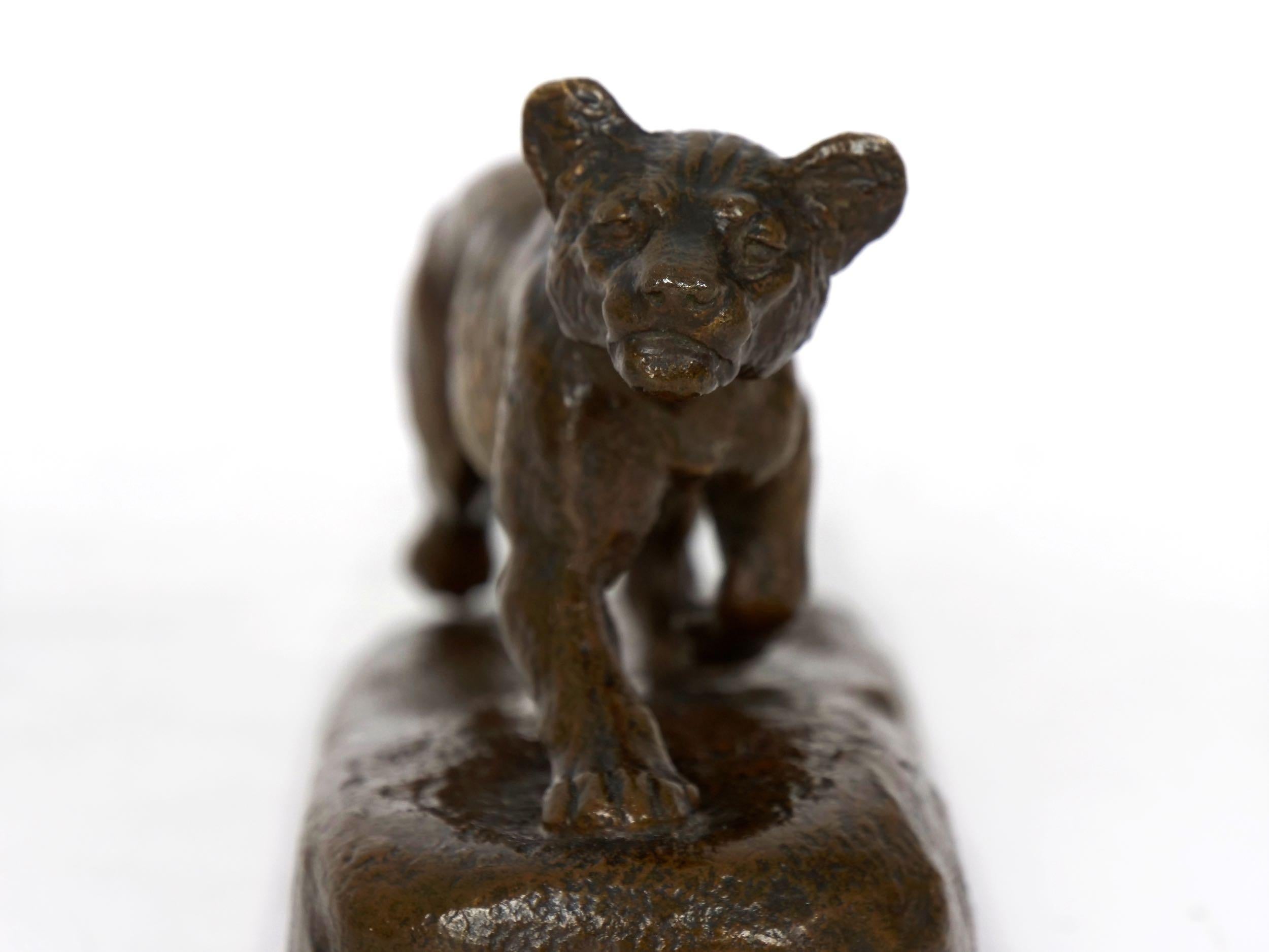 “Lion Cub” French Antique Bronze Sculpture by Isidore Bonheur and Peyrol 13