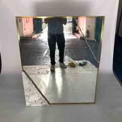 Lion In Frost Manner Marble Lucite Brass Mirror 1970s Postmodern