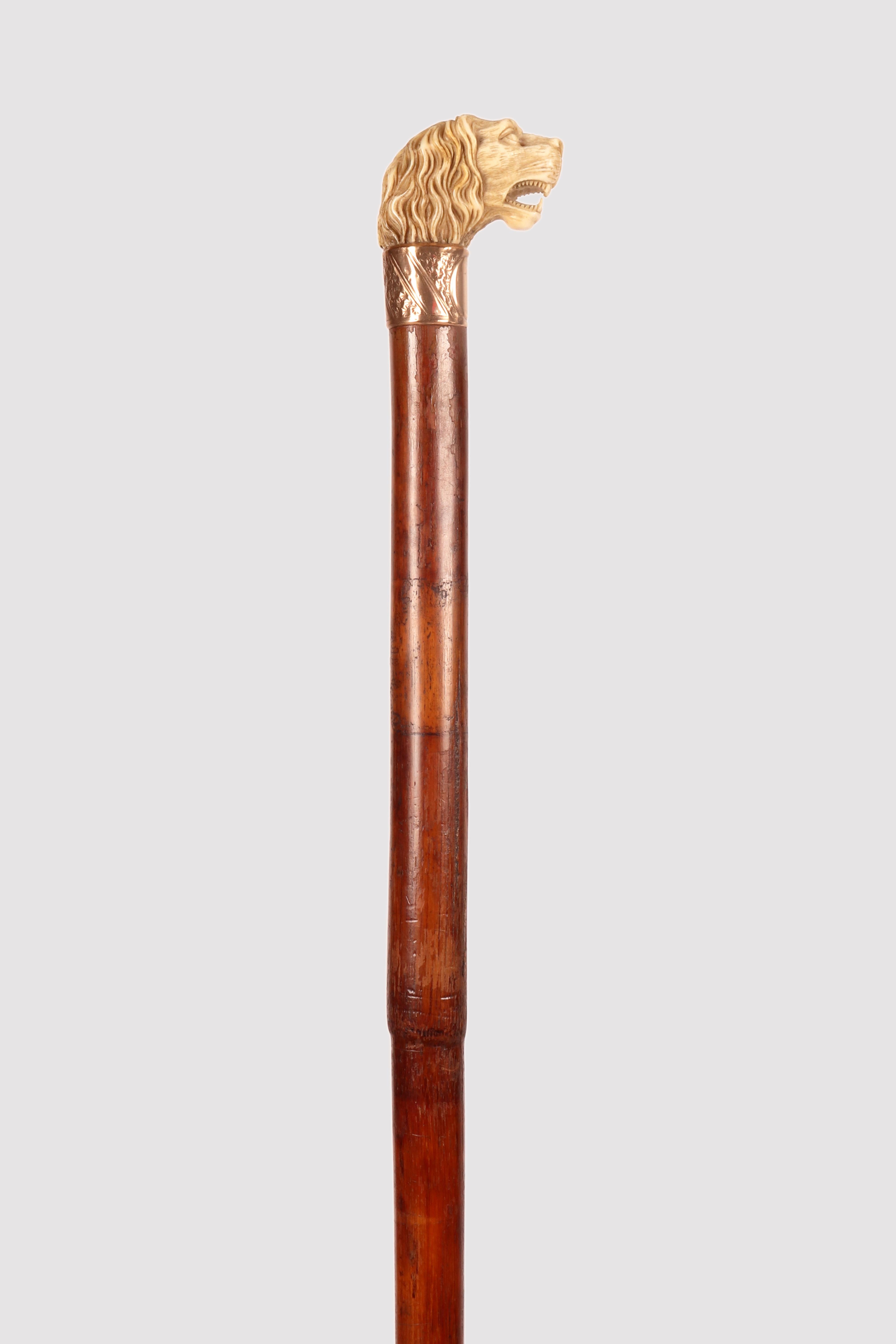 Francese Bastone da passeggio con manico di testa di leone in avorio, Francia 1890. in vendita