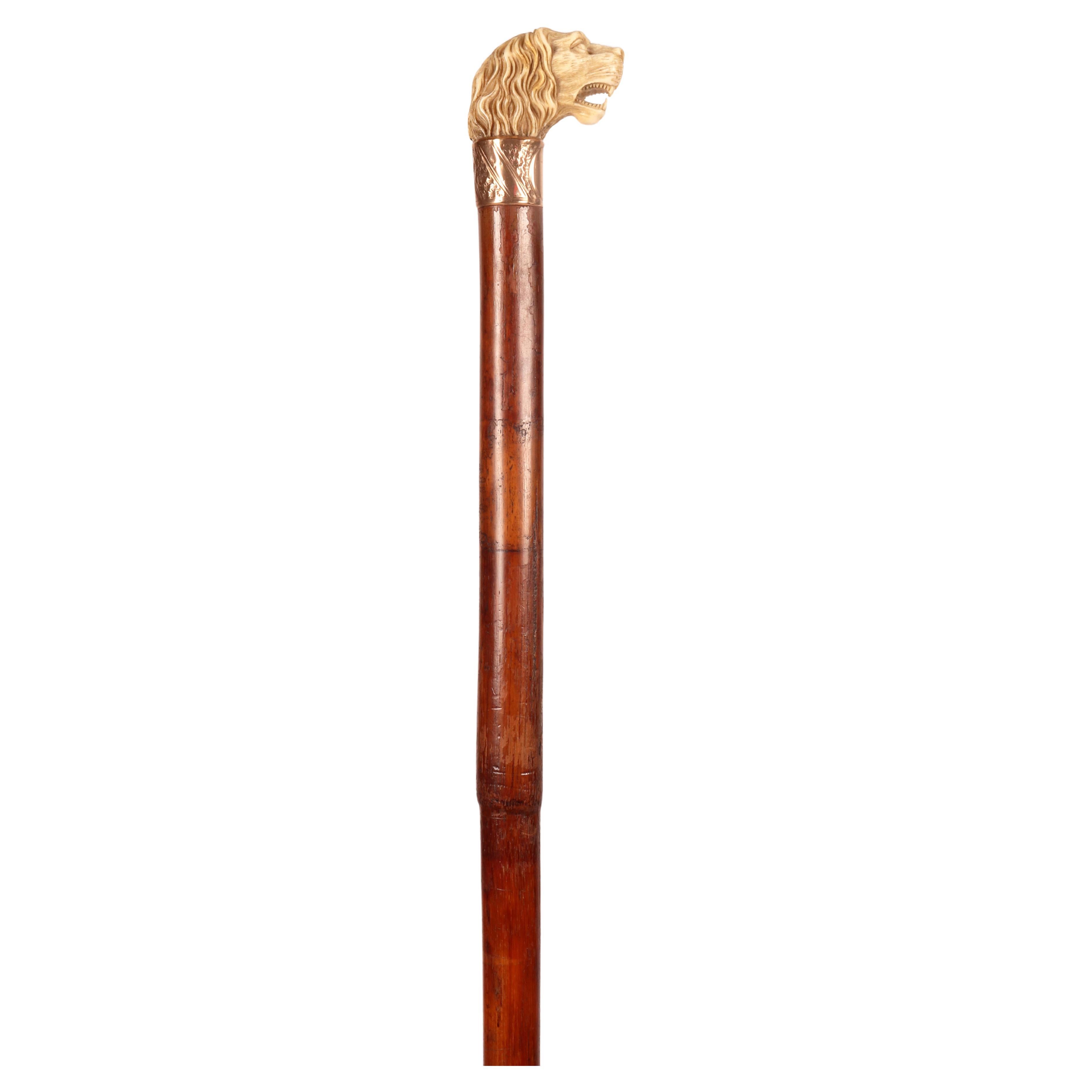 Bastone da passeggio: pomello in avorio intagliato raffigurante una testa di leone. Gruppo metal d'oro. Canna di Wood Wood. Ghiera in ferro. Francia circa 1890. (SPEDIZIONE SOLO NELL'UE)