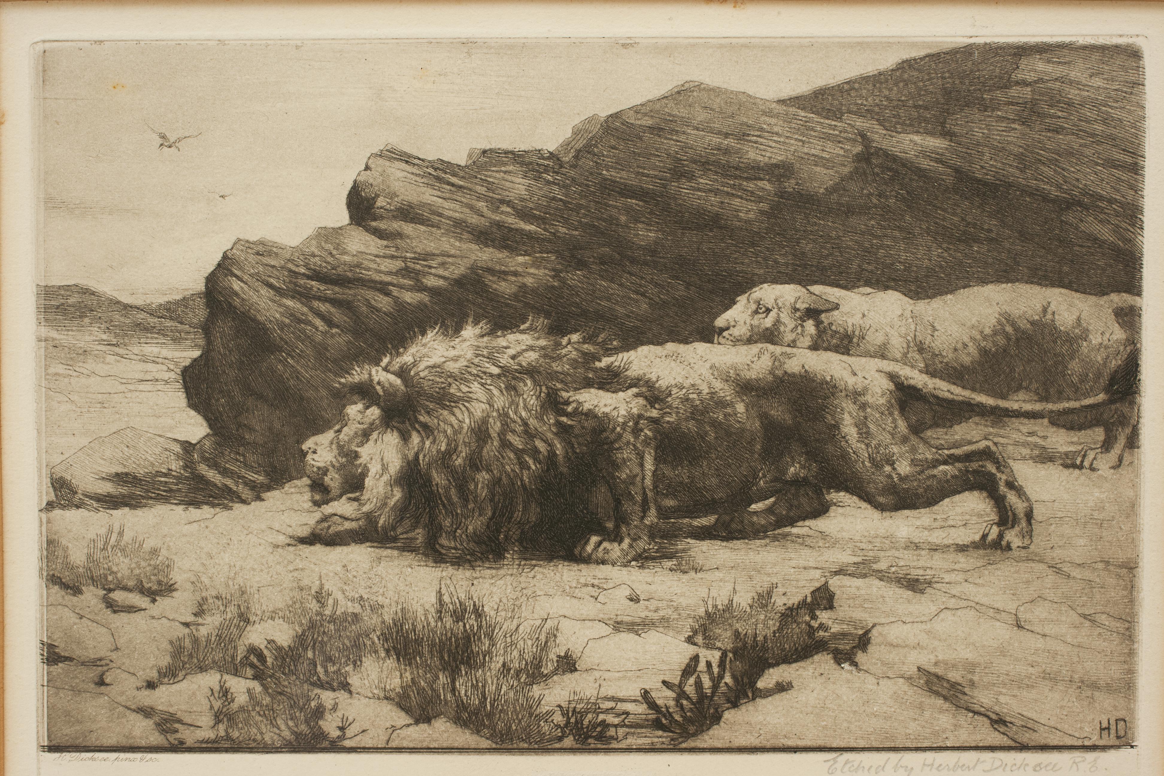 British Lion & Lioness, Herbert Dicksee, Marauders African Wildlife Picture For Sale
