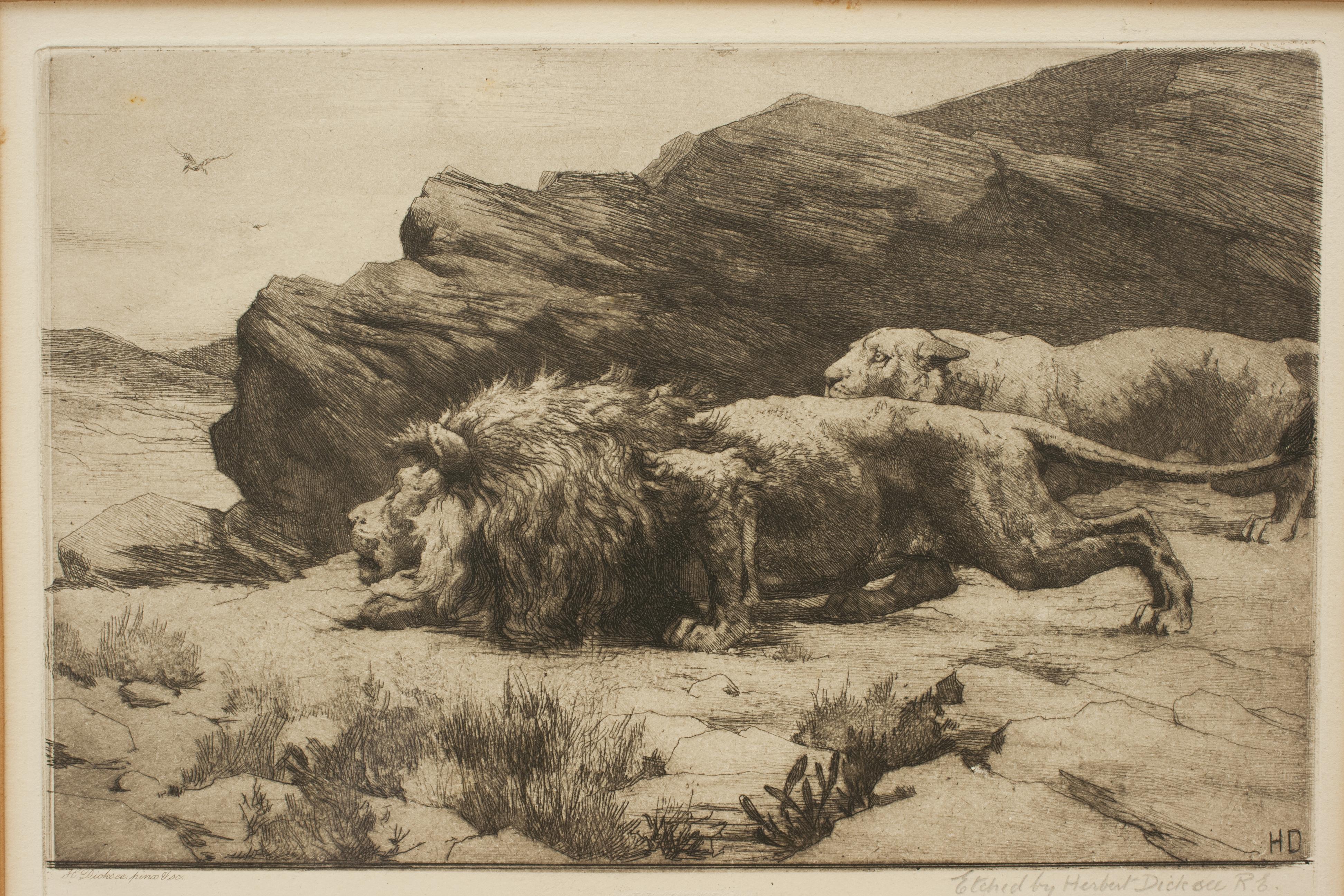 León y Leona, Herbert Dicksee, Merodeadores en venta 7