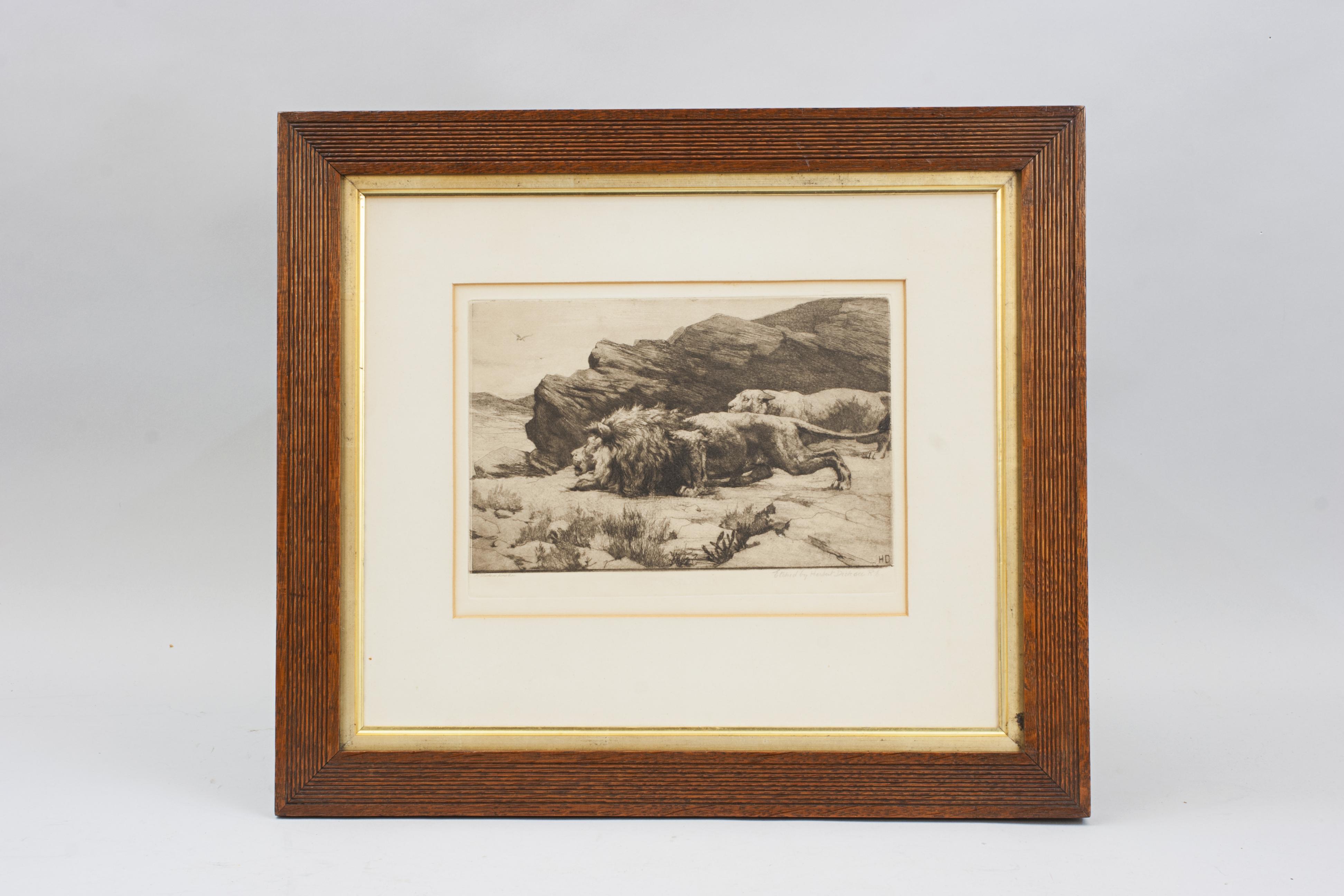 León y Leona, Herbert Dicksee, Merodeadores en venta 11