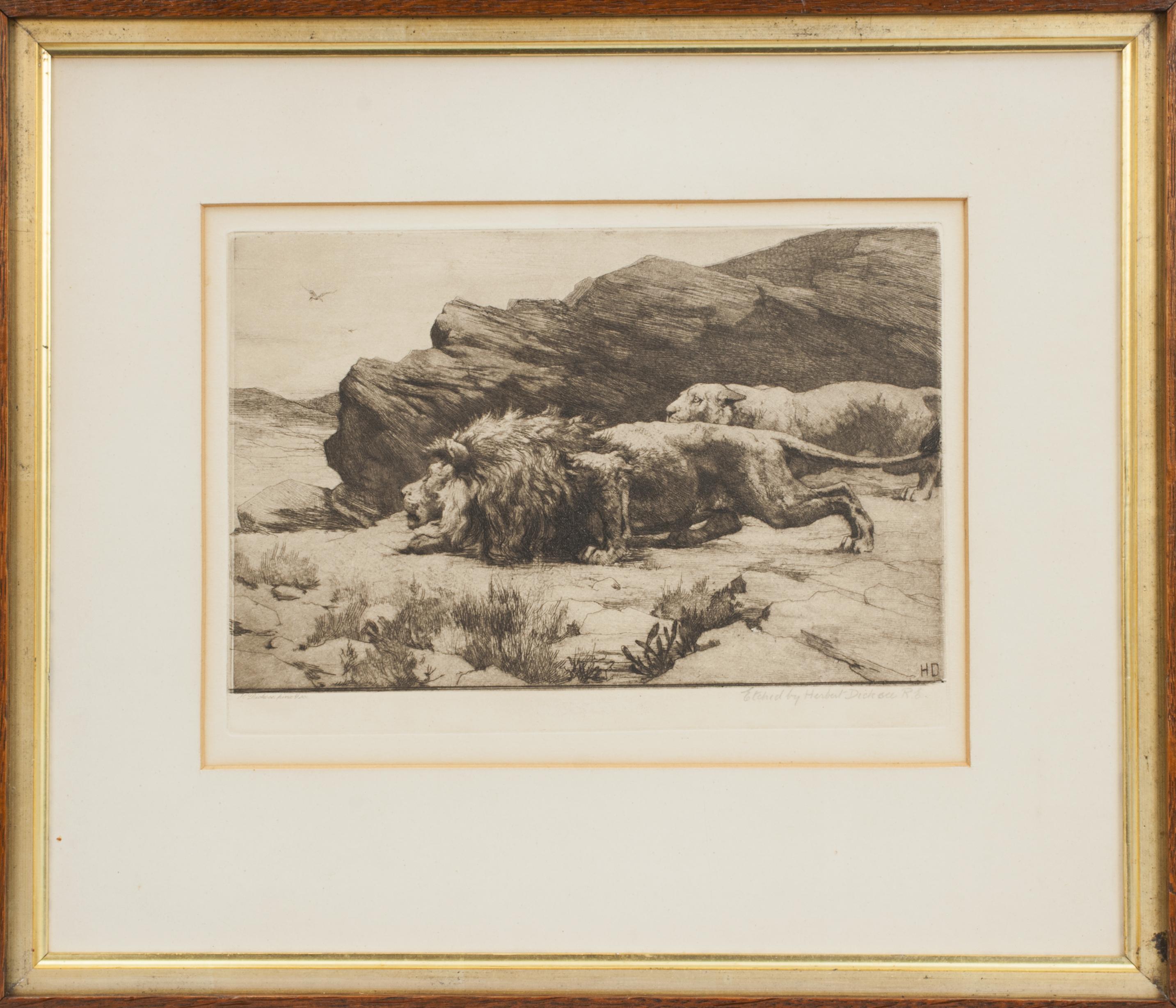 Merodeadores, Grabado antiguo de Herbert Dicksee.
Maravilloso grabado enmarcado de Herbert Dicksee de un león y una leona, Merodeadores. La imagen en blanco y negro de la vida salvaje muestra a un león y una leona agazapados detrás de unas rocas,