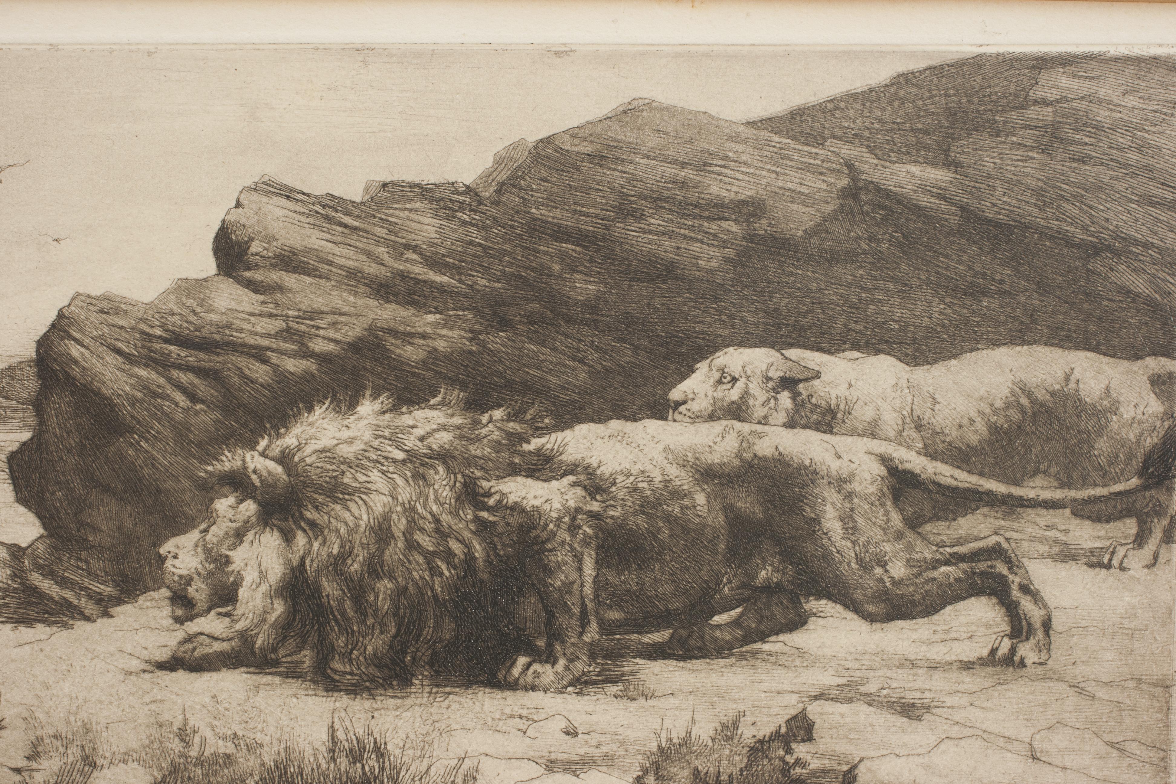 León y Leona, Herbert Dicksee, Merodeadores en Bueno estado para la venta en Oxfordshire, GB