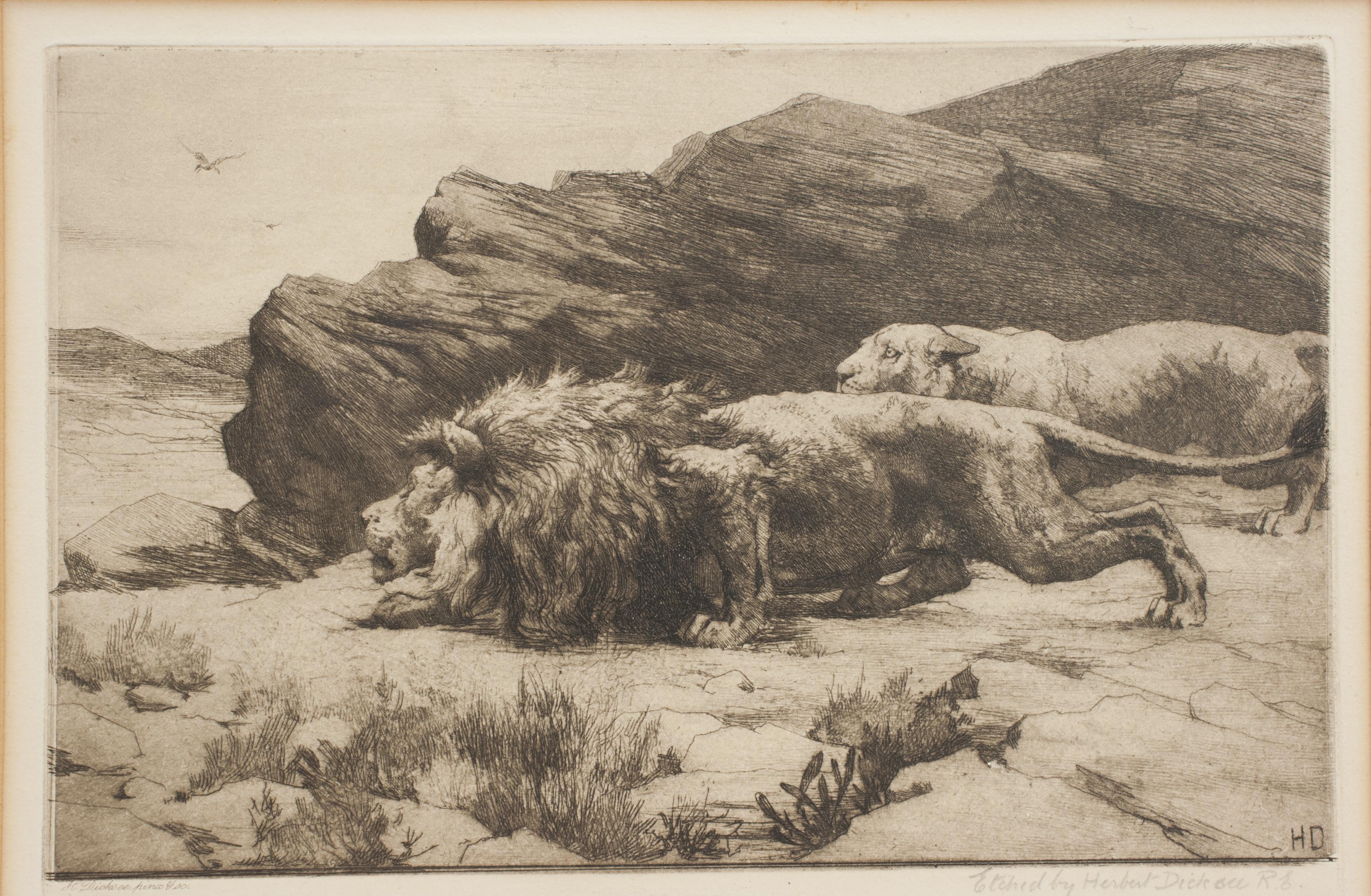 León y Leona, Herbert Dicksee, Merodeadores siglo XX en venta