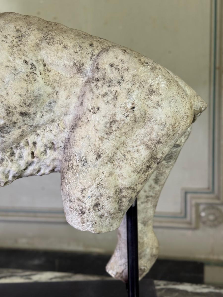 Lion, marble sculpture, Venice, 18th century in vendita 5