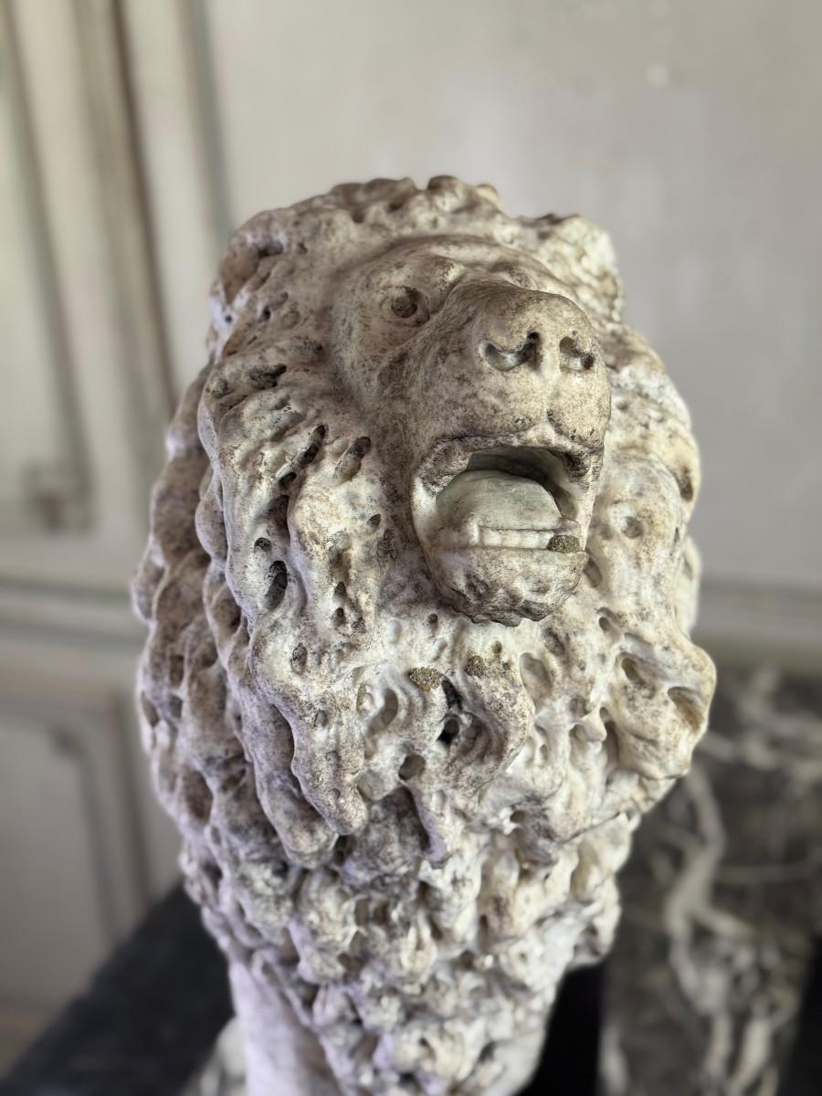 Greco classico Lion, marble sculpture, Venice, 18th century in vendita