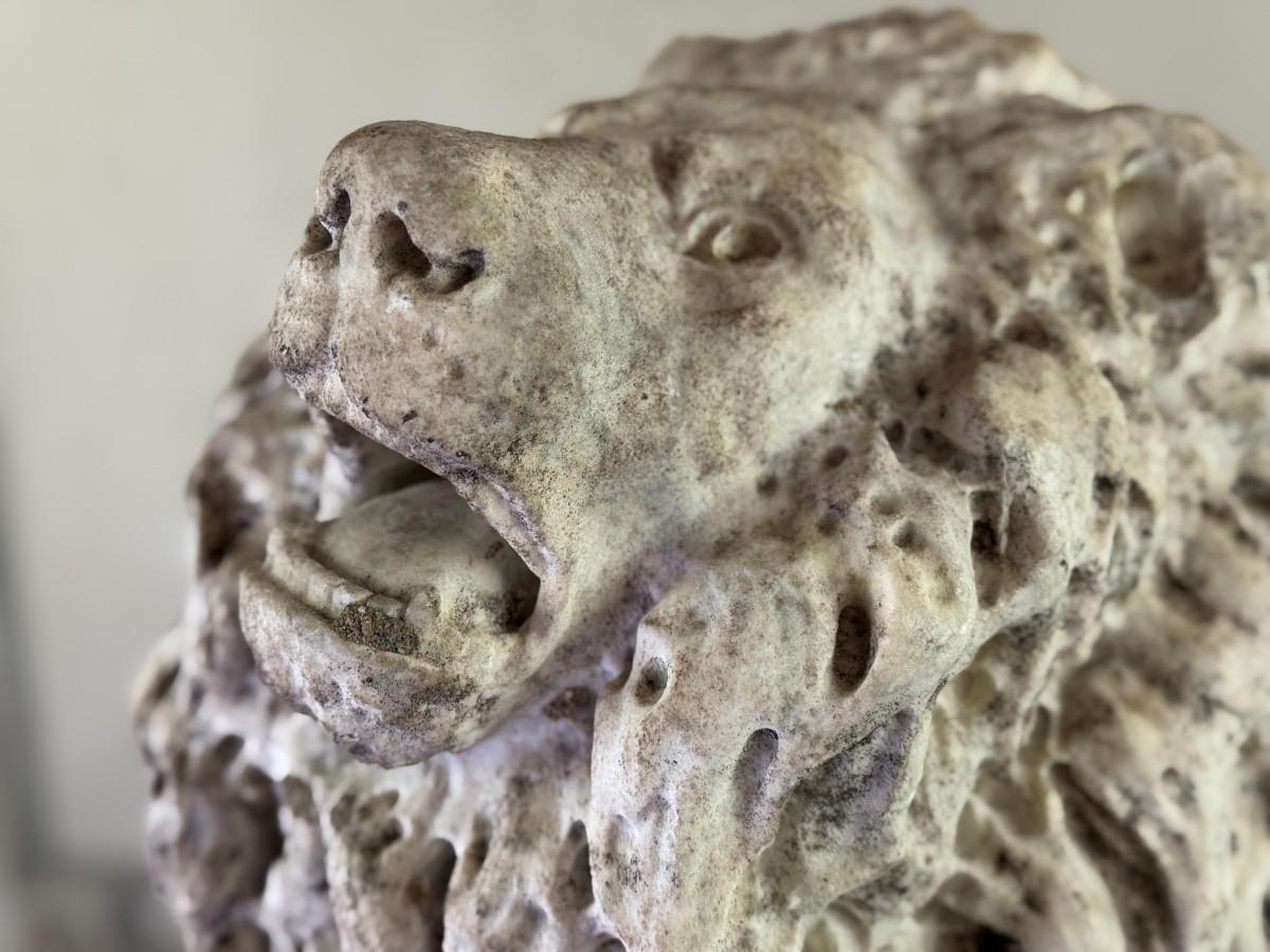 Lion, marble sculpture, Venice, 18th century in vendita 3