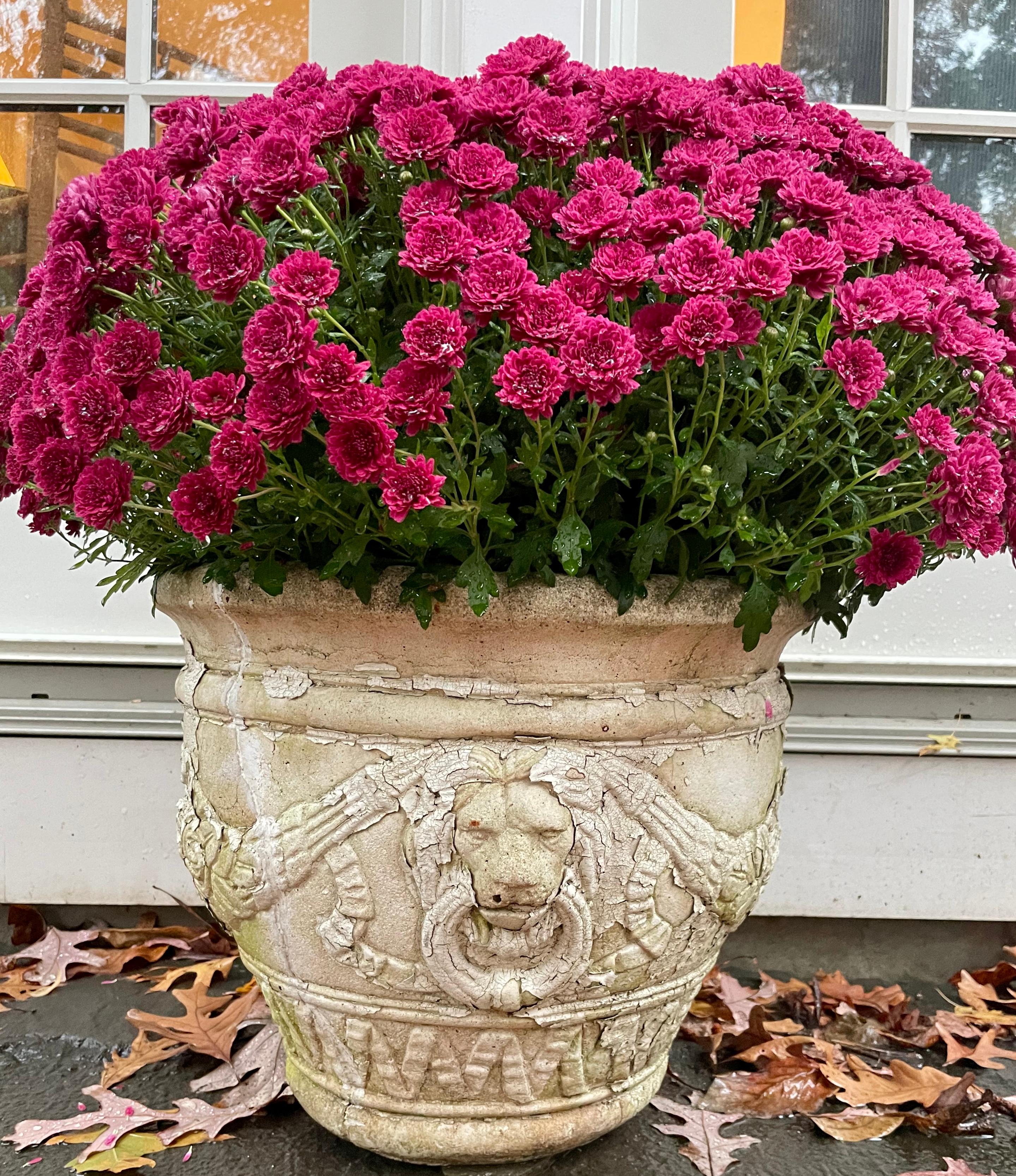 Lion mask garden urn. Beaux Arts period cream cast stone planter with bas relief apposing lion mask ring ‘handles’ suspending ful floral swags all above a zig zag ribbon banded base. In original flaked paint condition with repairs. United States,