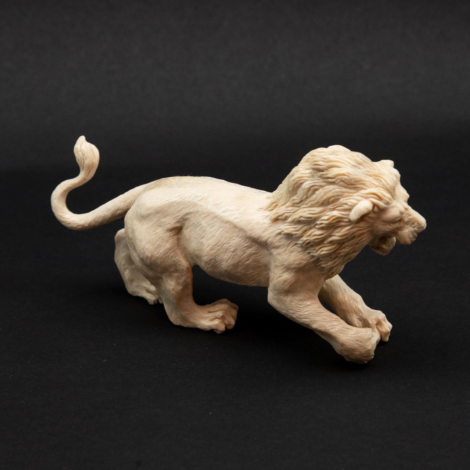 Indonesian Lion Moose Antler Carving