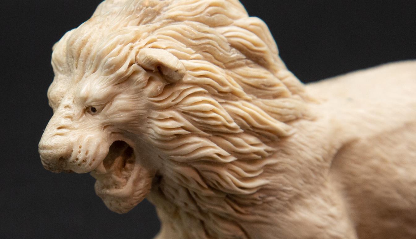 Carved Lion Moose Antler Carving
