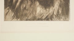 Lion Print by Herbert Dicksee, His Royal Highness