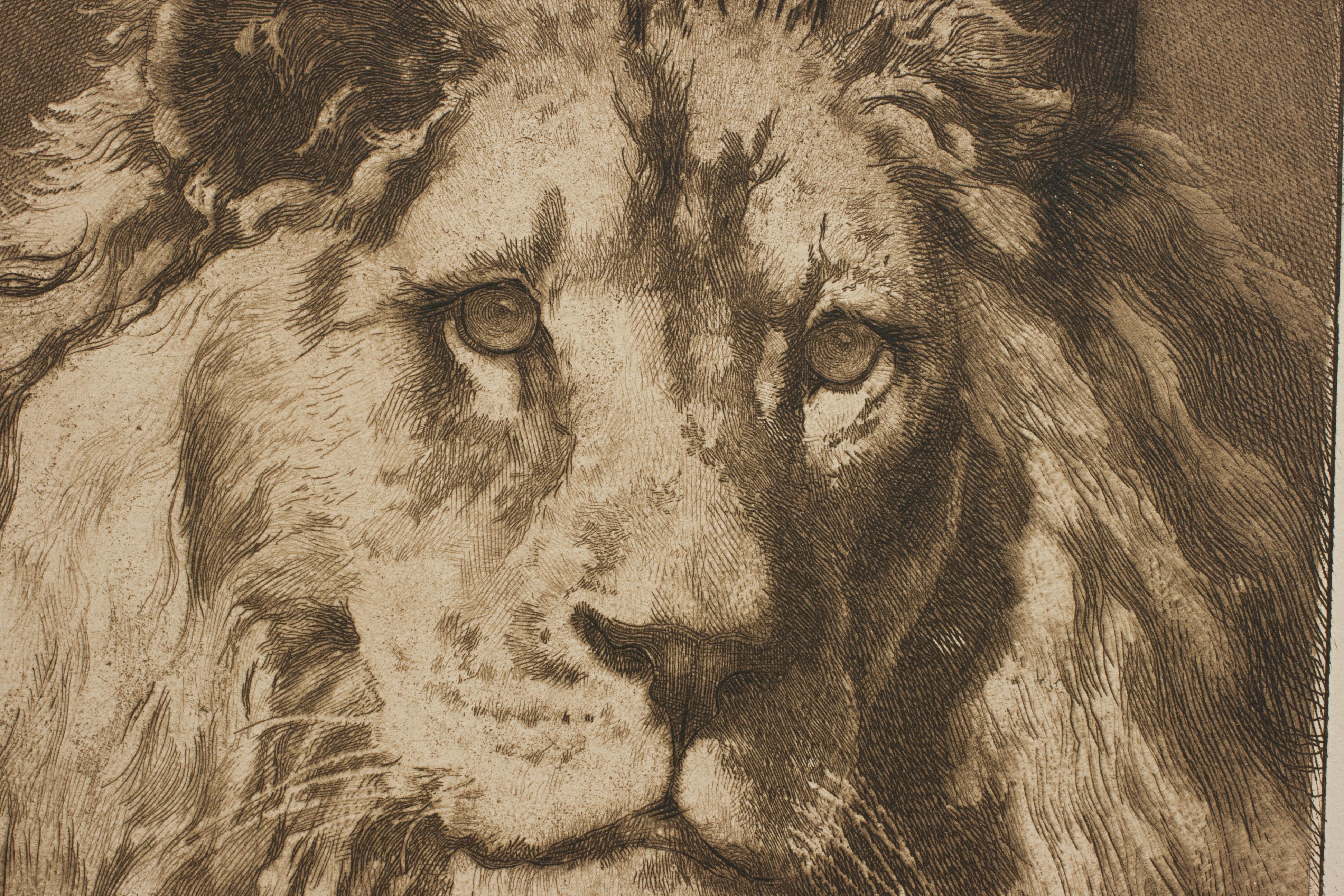 Sporting Art Lion Print by Herbert Dicksee, His Royal Highness