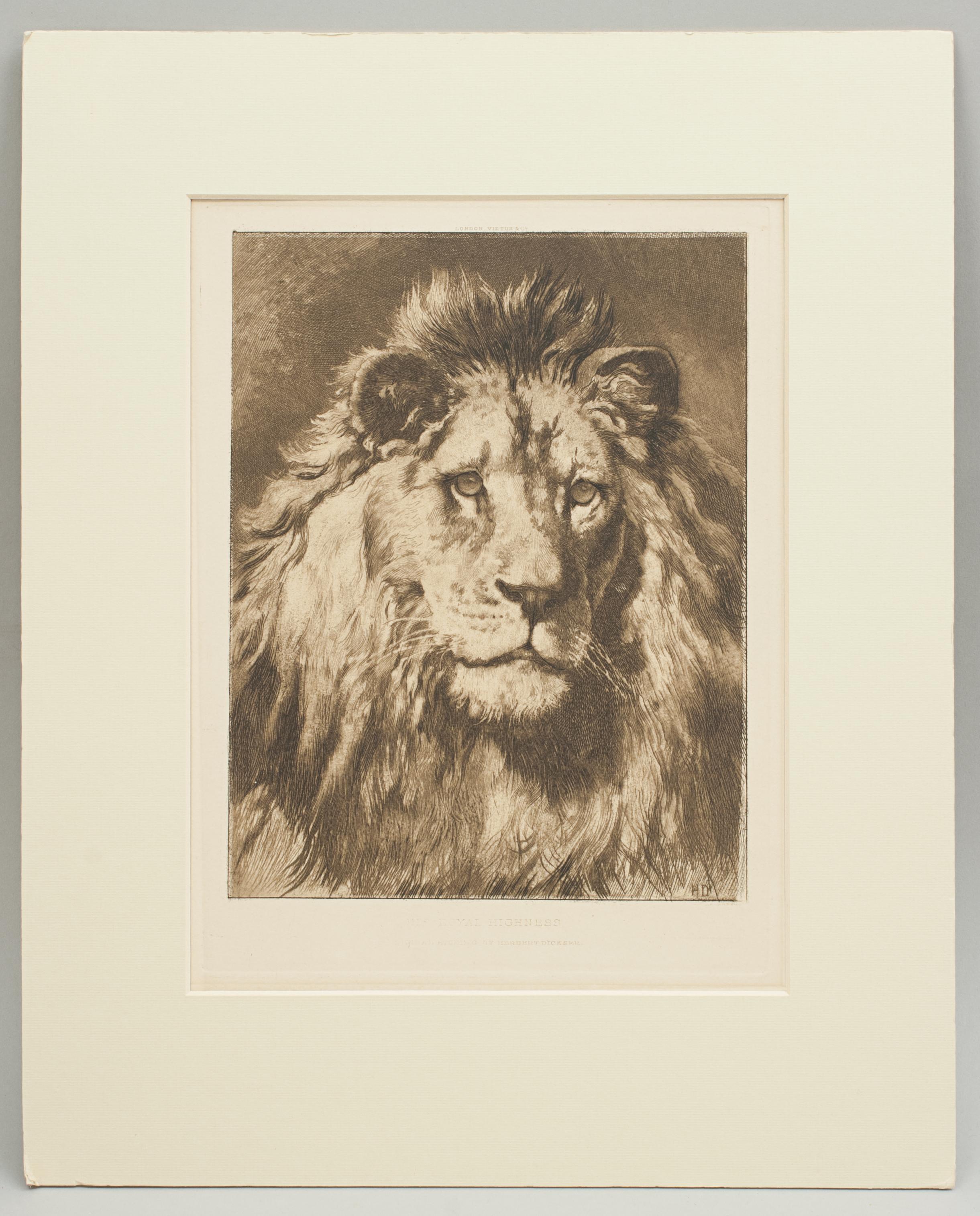 Paper Lion Print by Herbert Dicksee, His Royal Highness