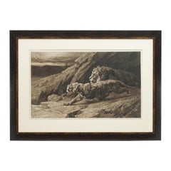 Antique Lion Print, 'Raiders' by Herbert Dicksee, Etching