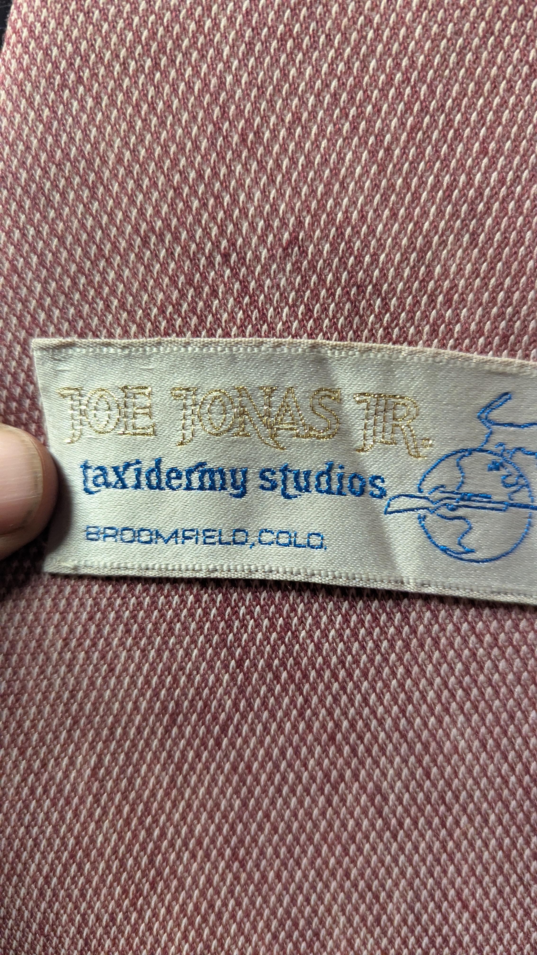 Tappeto in pelle di leone in vendita 9