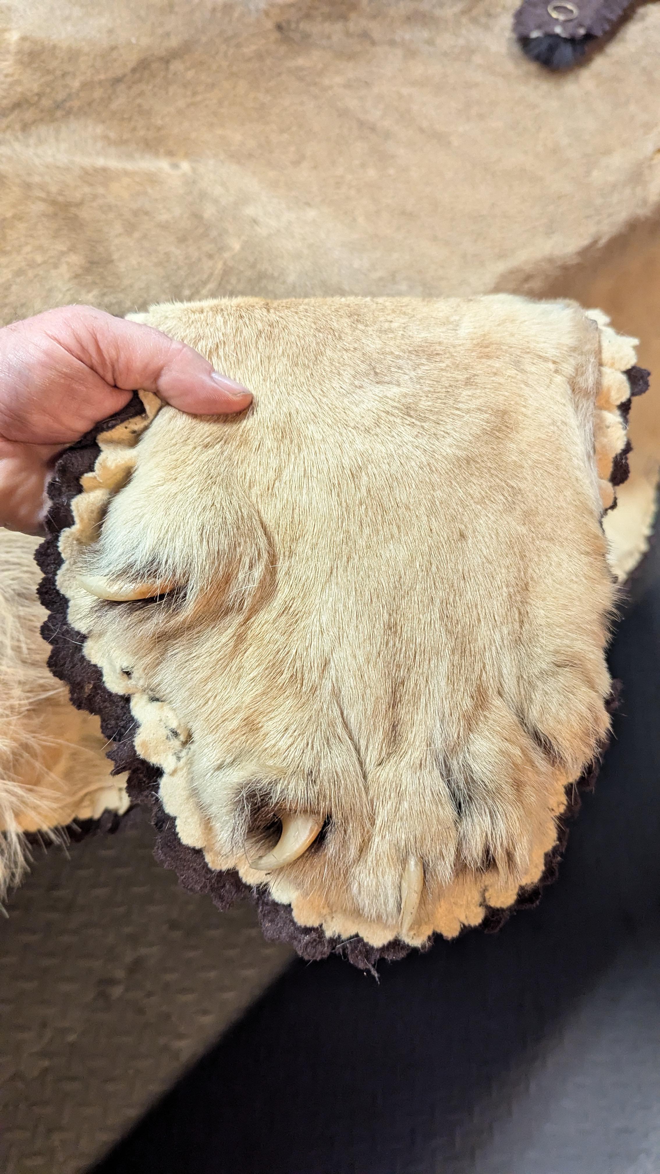 Tappeto in pelle di leone In condizioni buone in vendita a Pueblo, CO