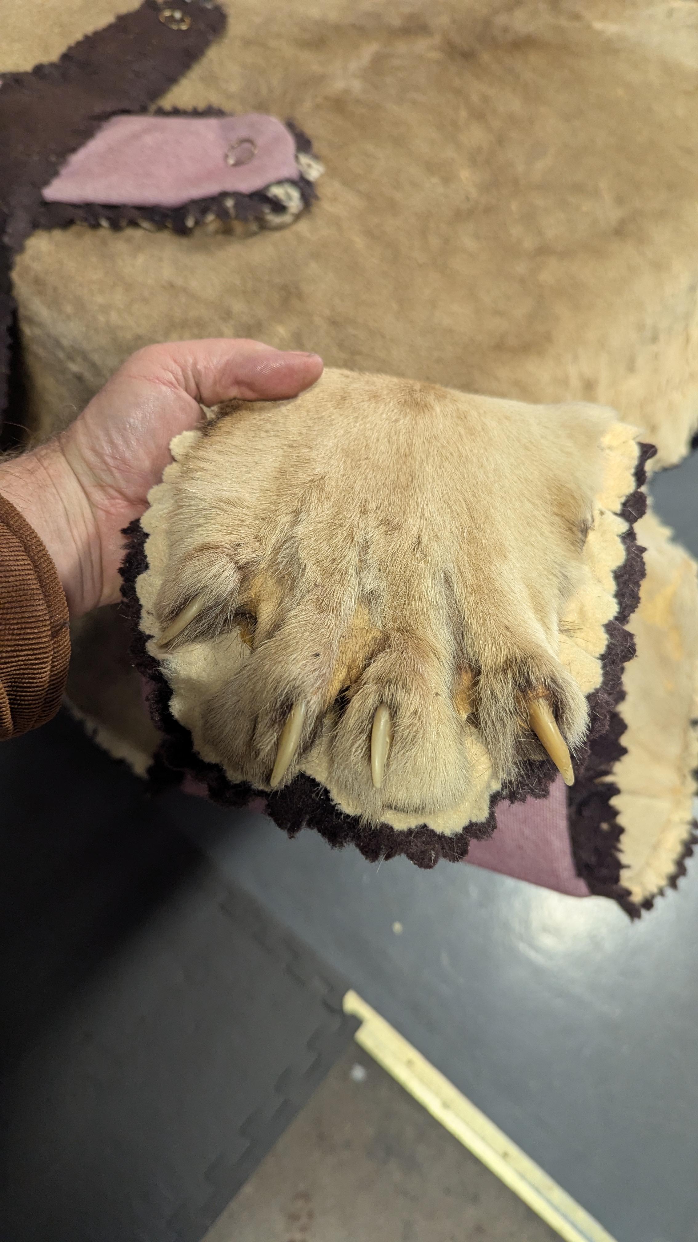 Pelle animale Tappeto in pelle di leone in vendita