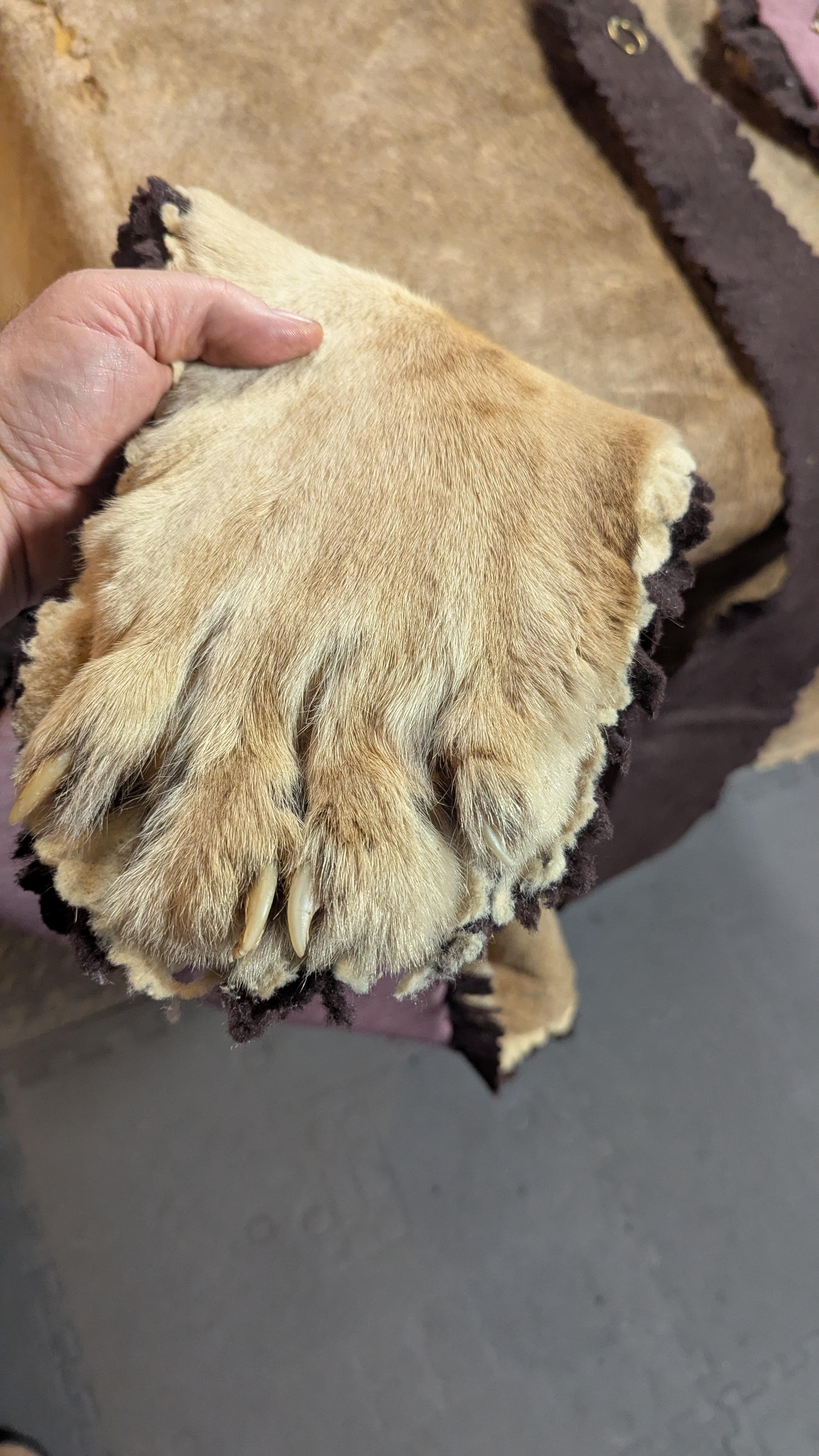 Tappeto in pelle di leone in vendita 1