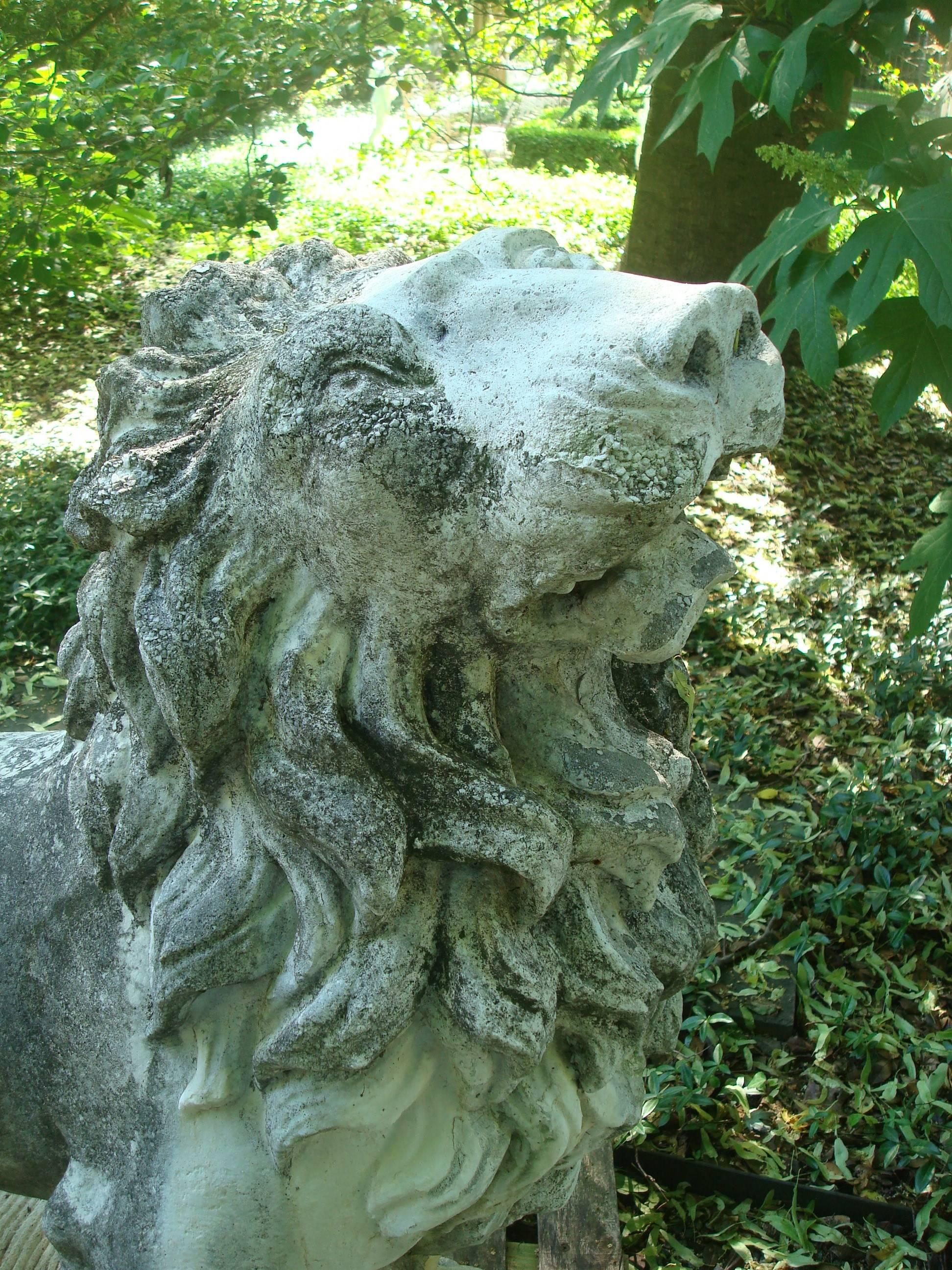 antique lion statue for sale
