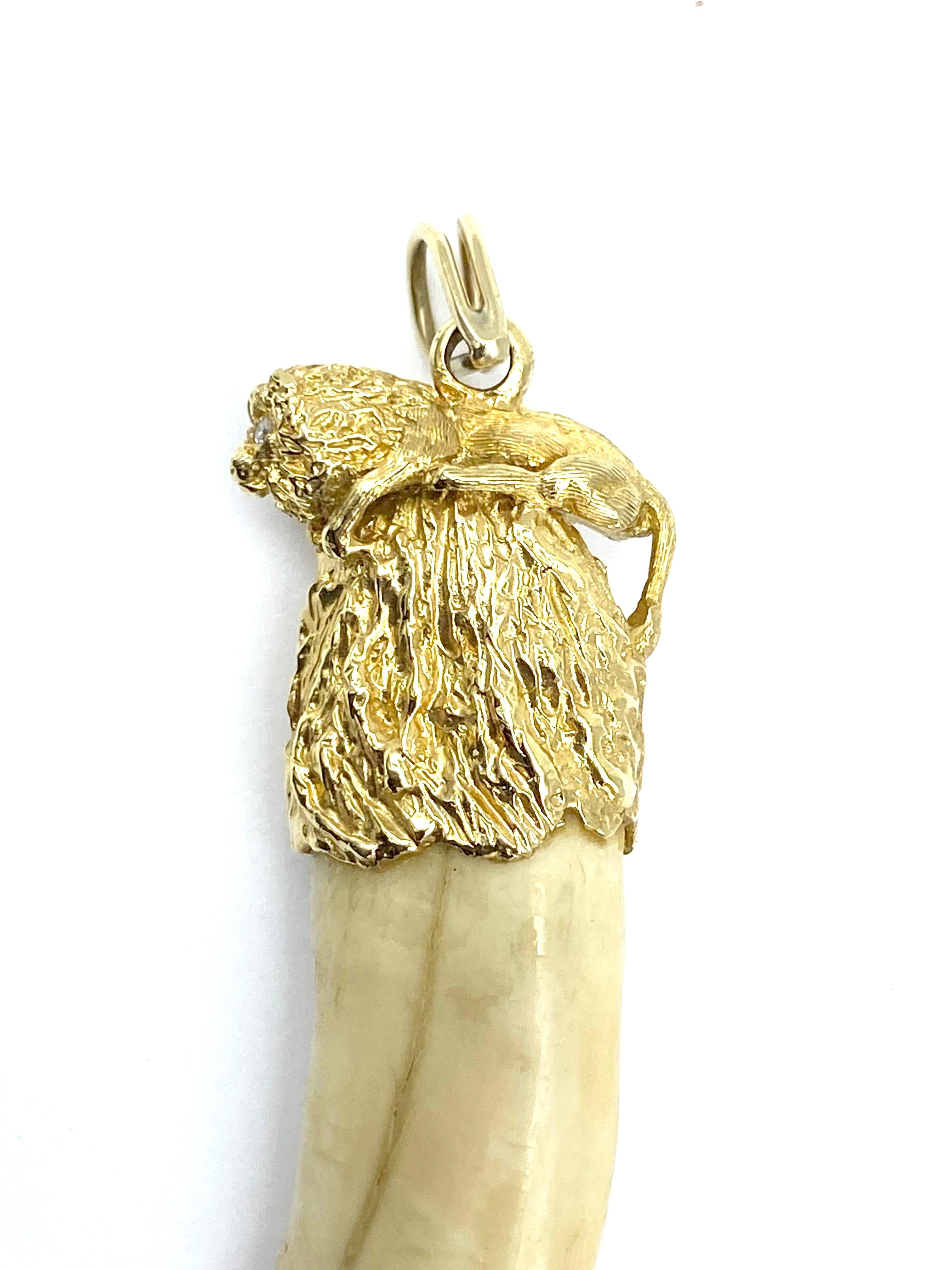 Lion Tooth Pendant & Diamond 14 Karat Yellow Gold 1