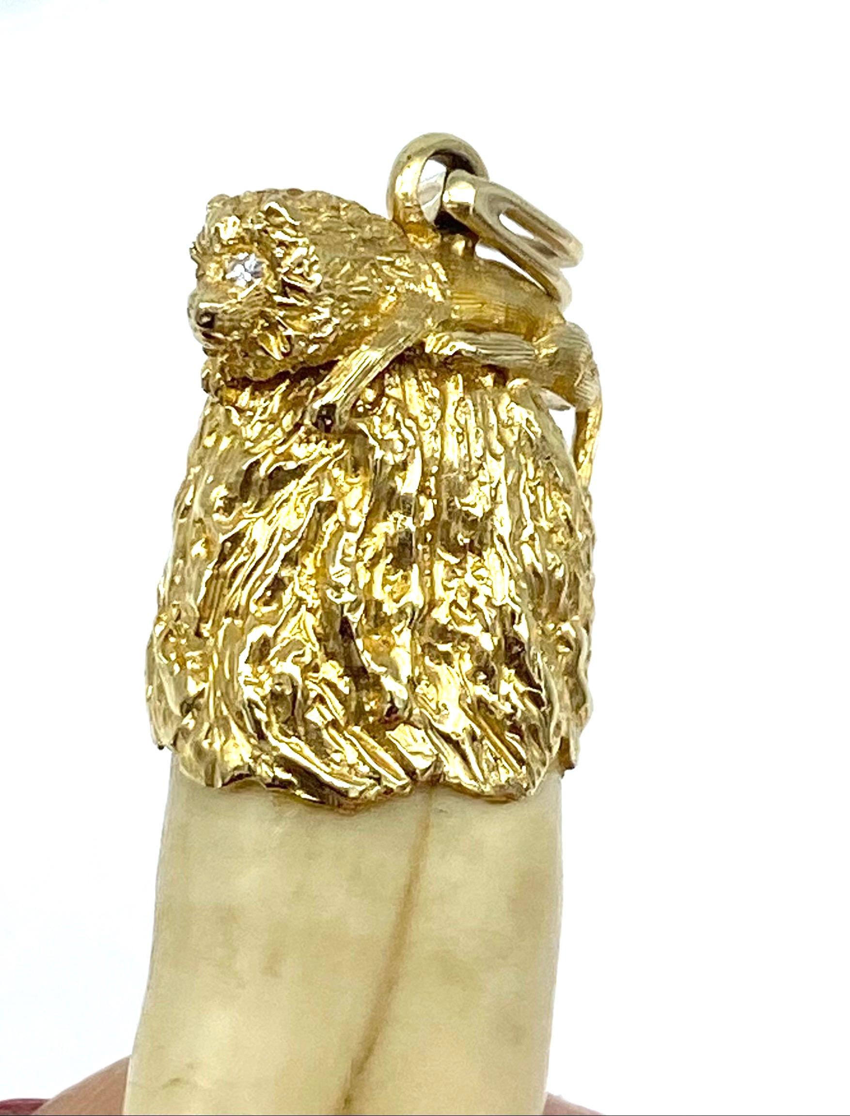 Lion Tooth Pendant & Diamond 14 Karat Yellow Gold 2